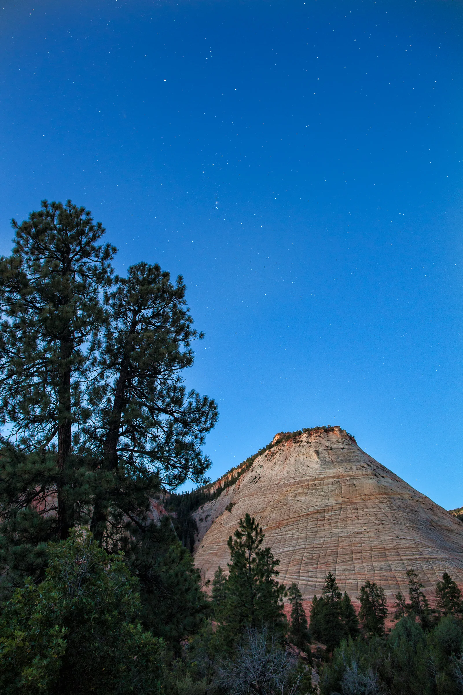 Orion over the Checkerboard Mesa - Zion N.P.