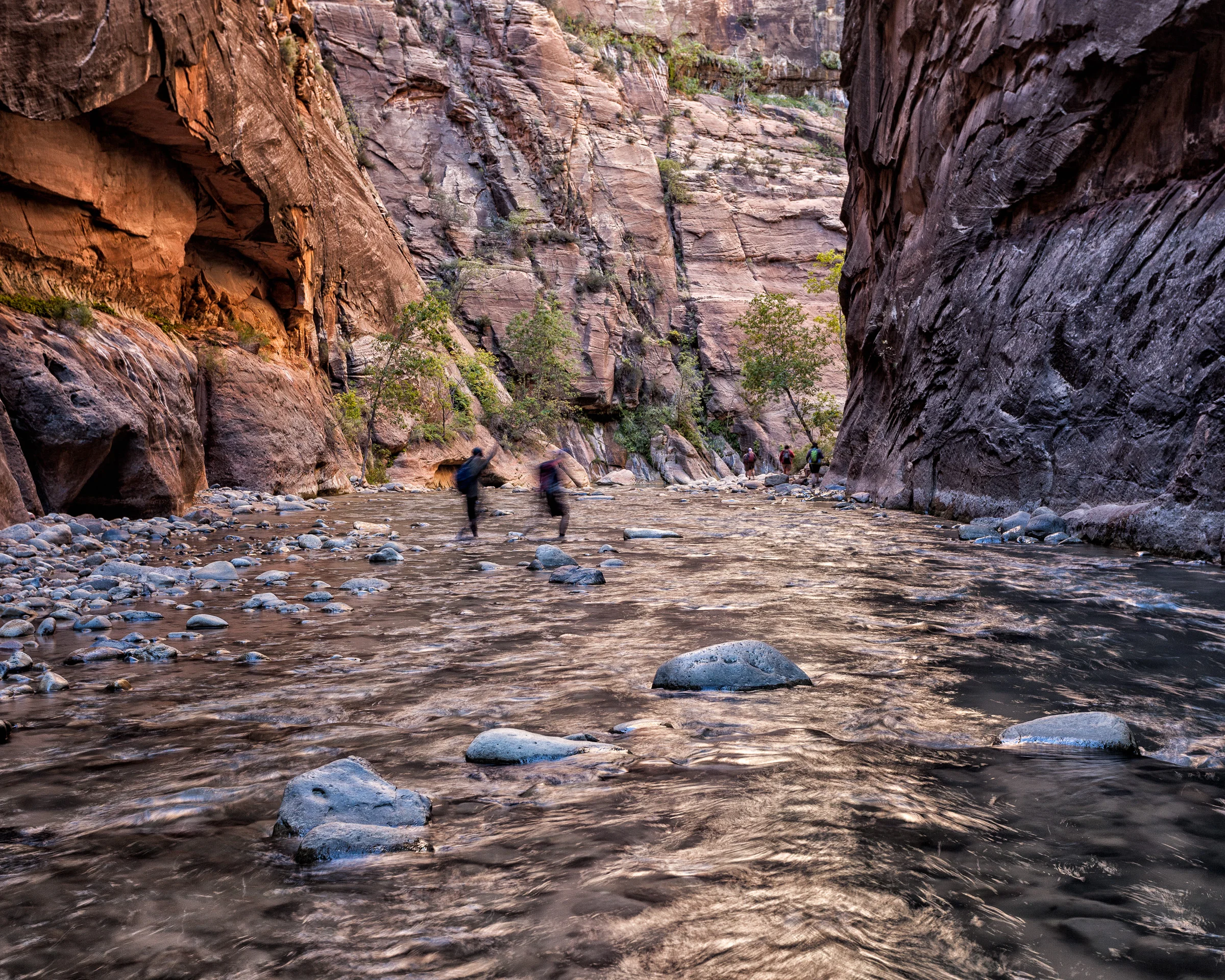 The Narrows - Zion N.P.