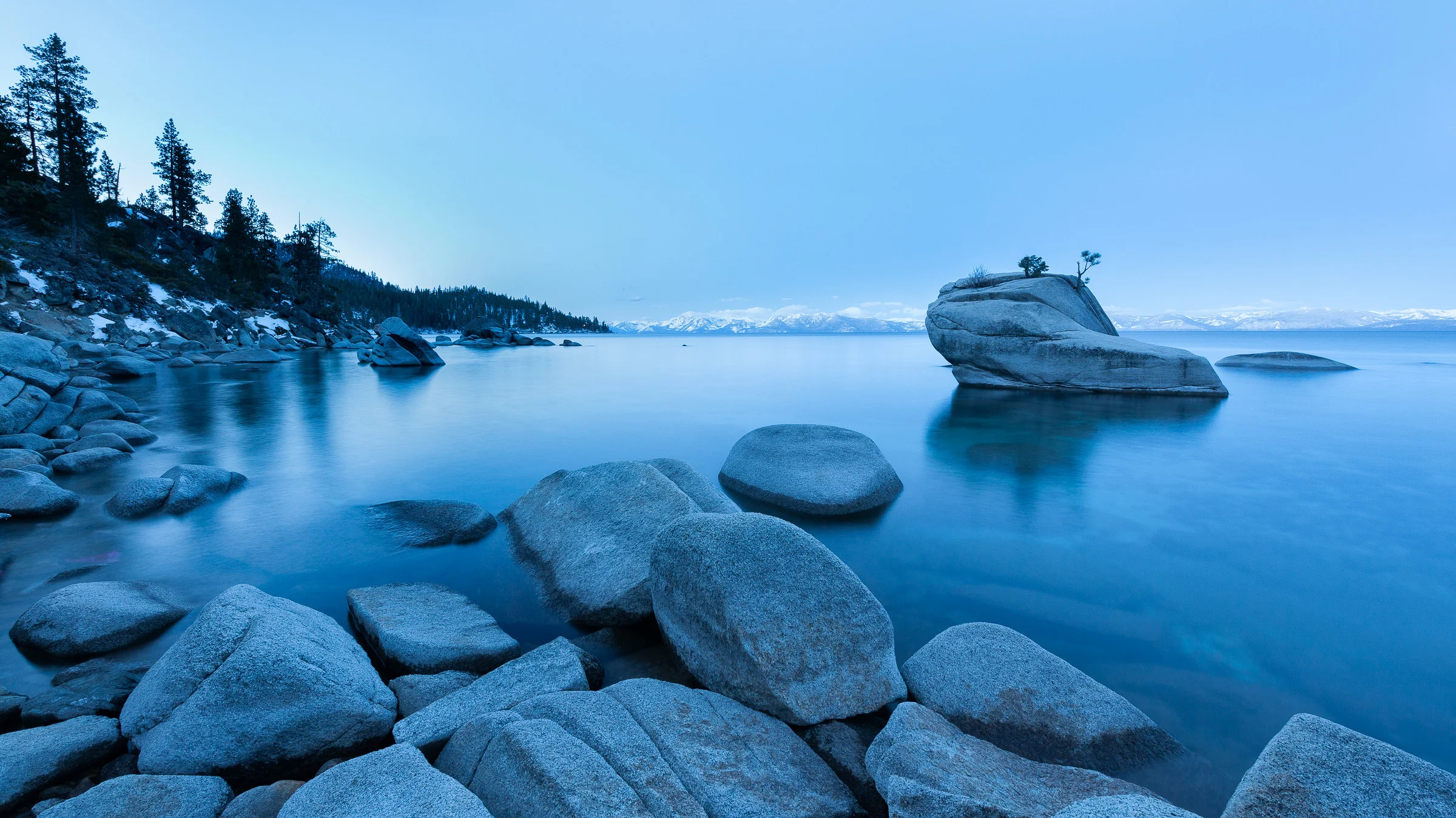 Bonsai Rock