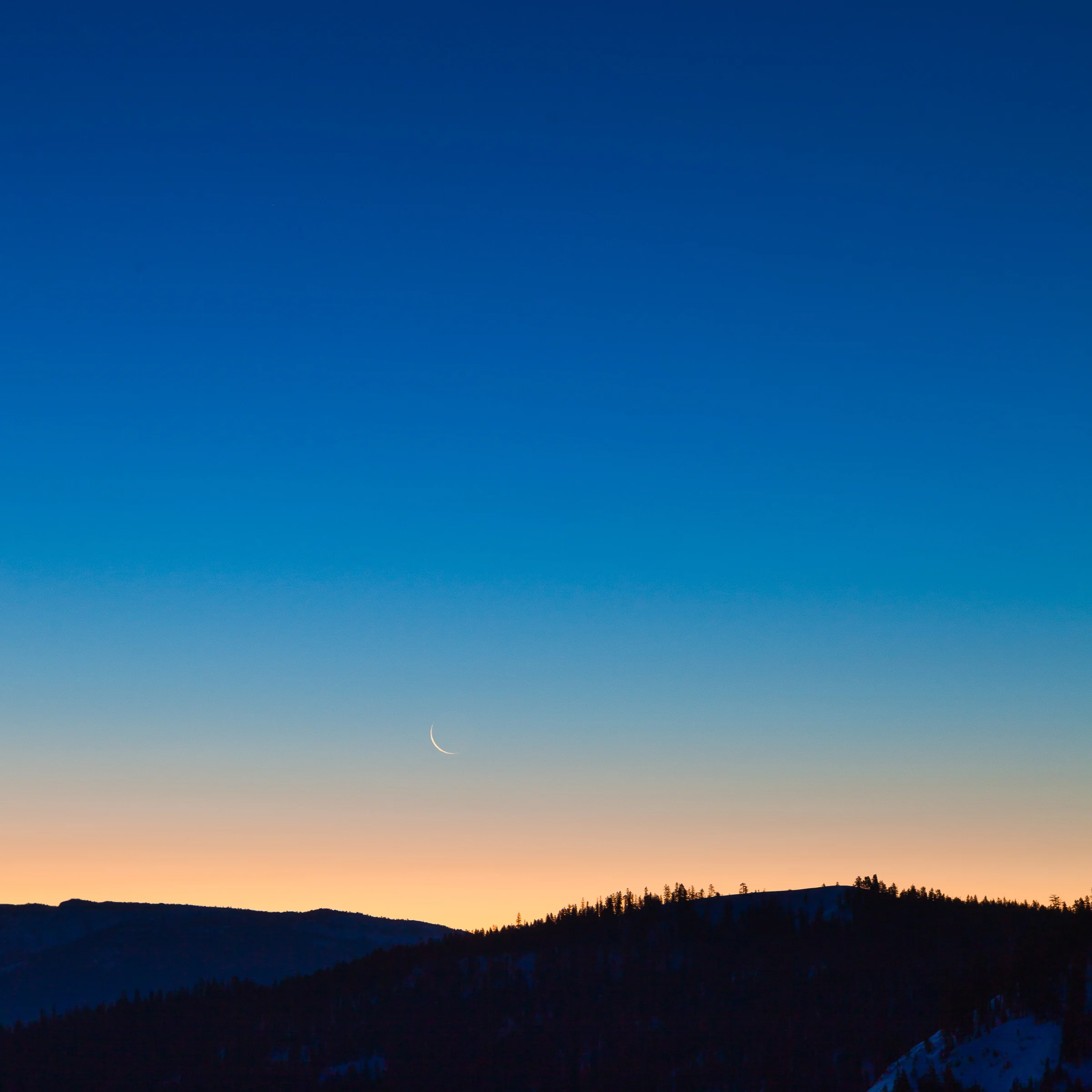 Moon Rise