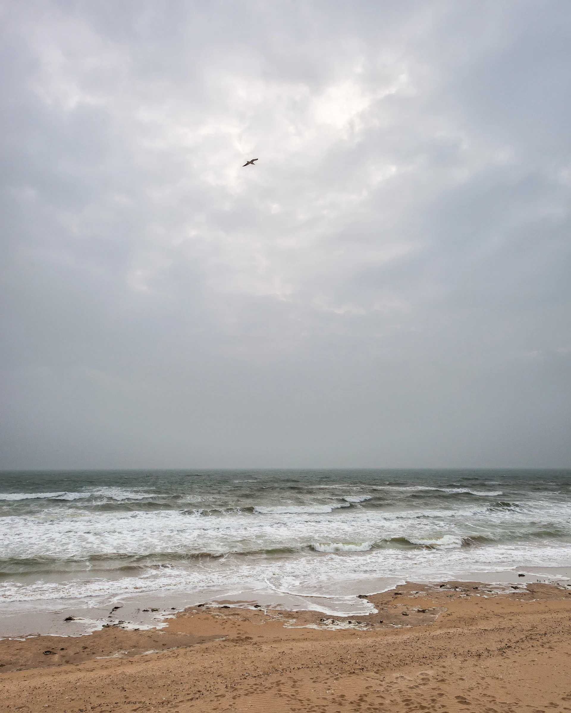 Utah Beach