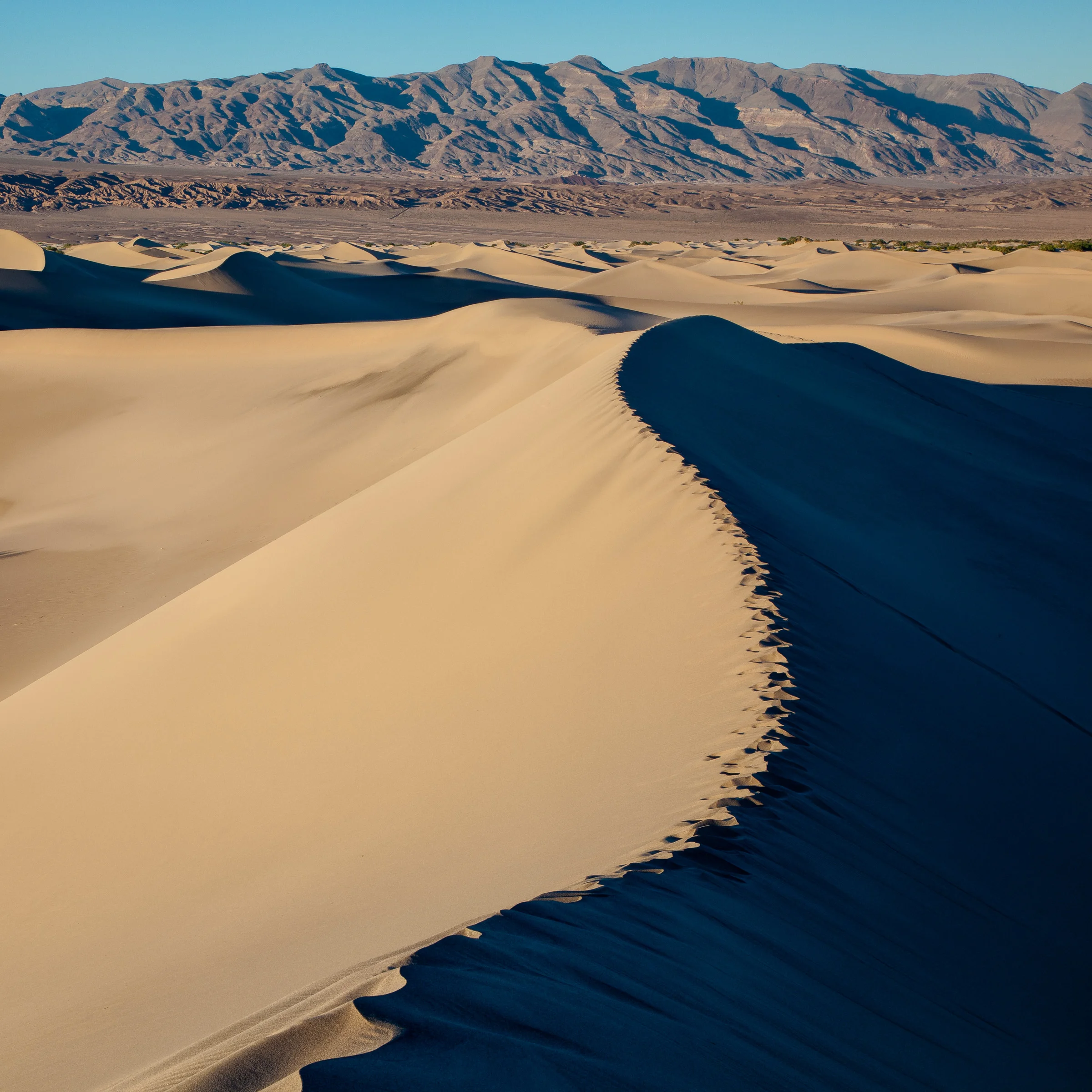 Mesquite Sand Dunes V - Death Valley