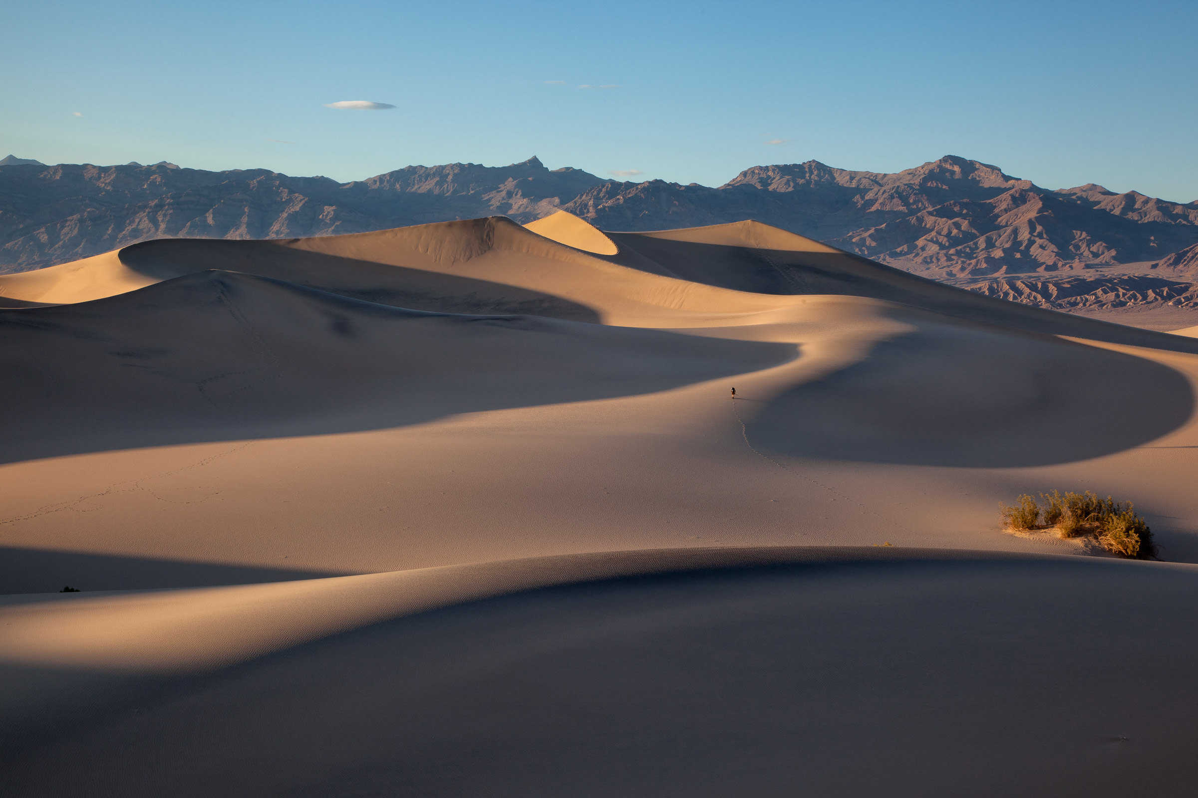 Mesquite Sand Dunes VI - Death Valley