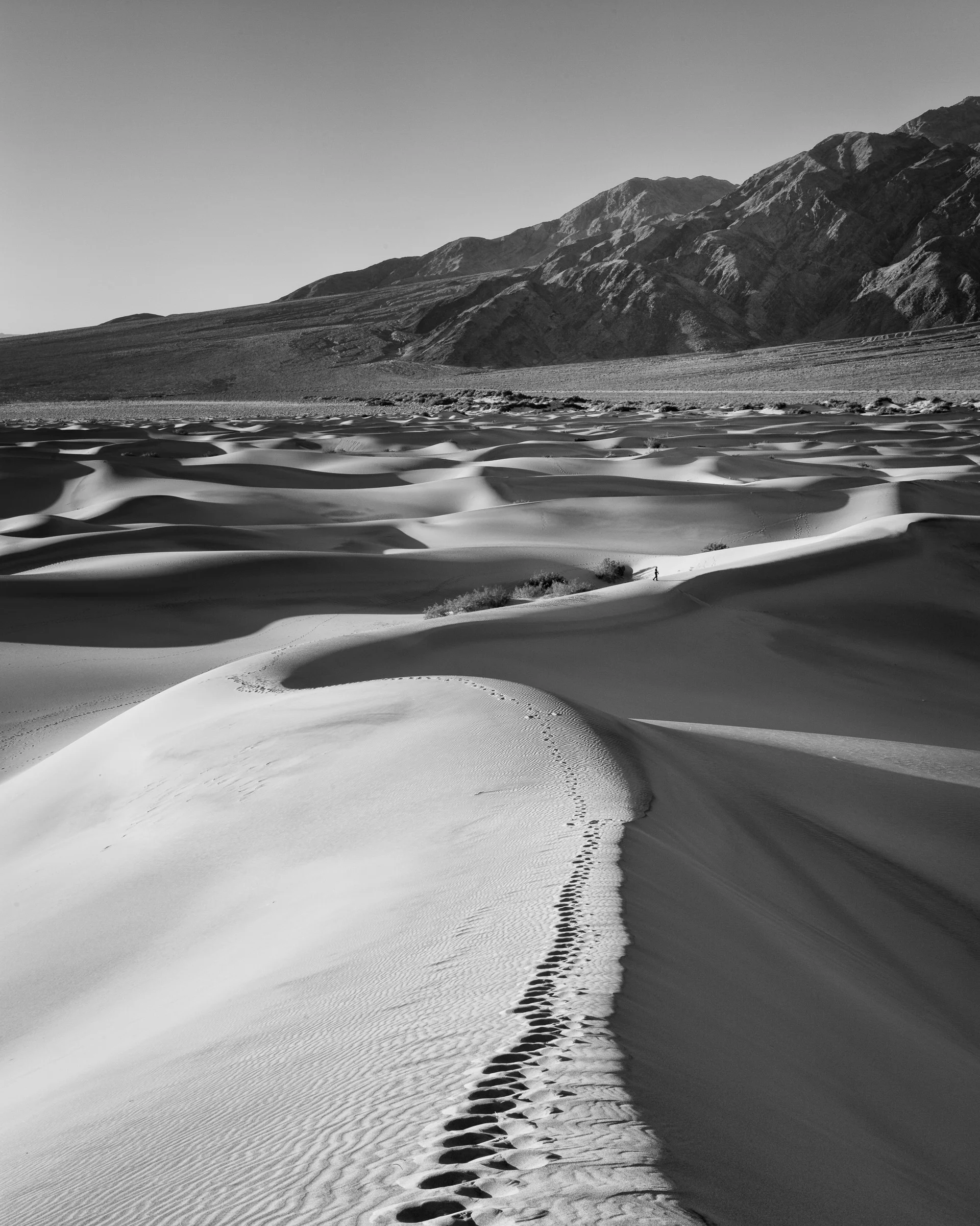 Mesquite Sand Dunes - Death Valley