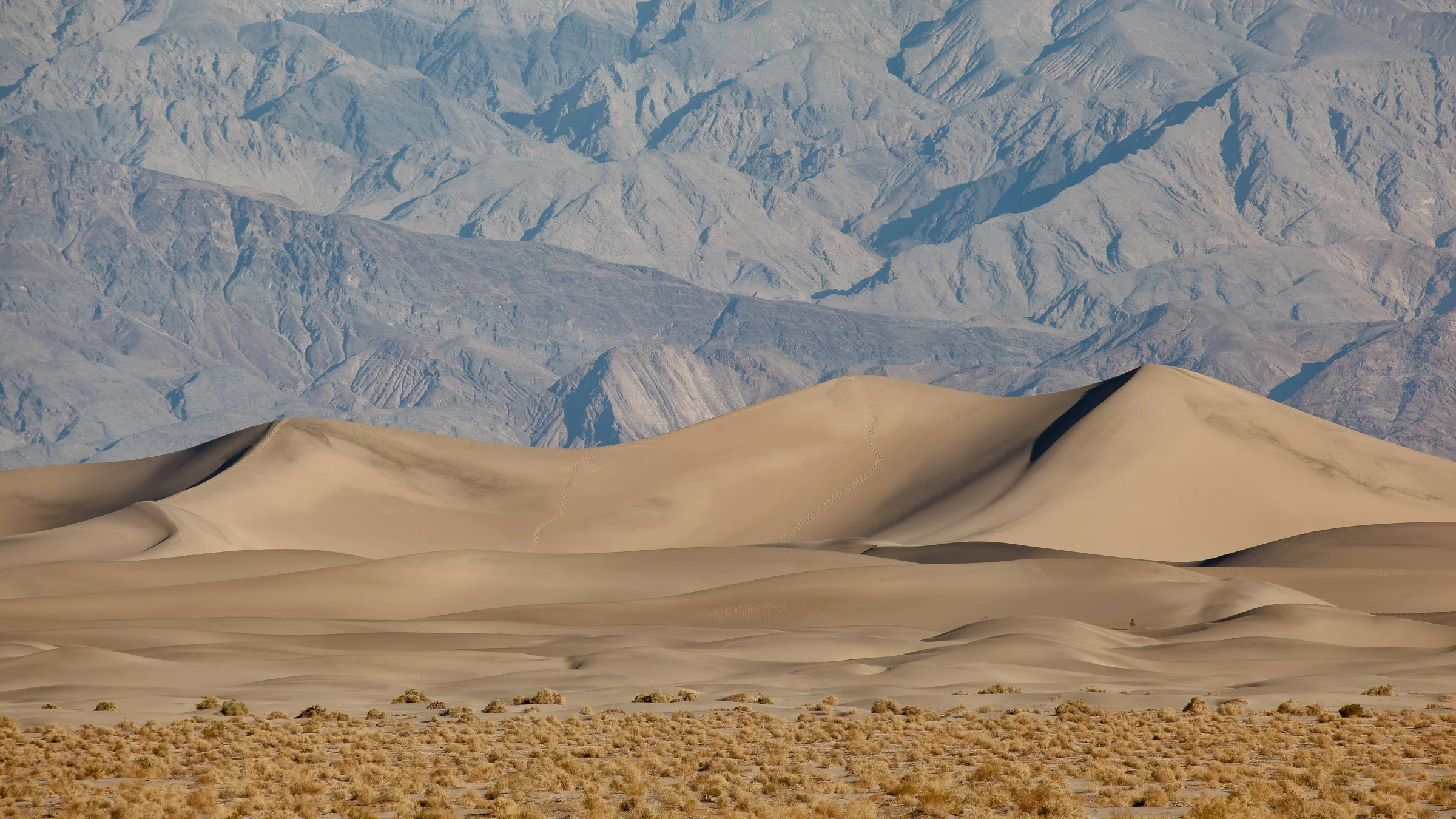 Mesquite Sand Dunes X - Death Valley