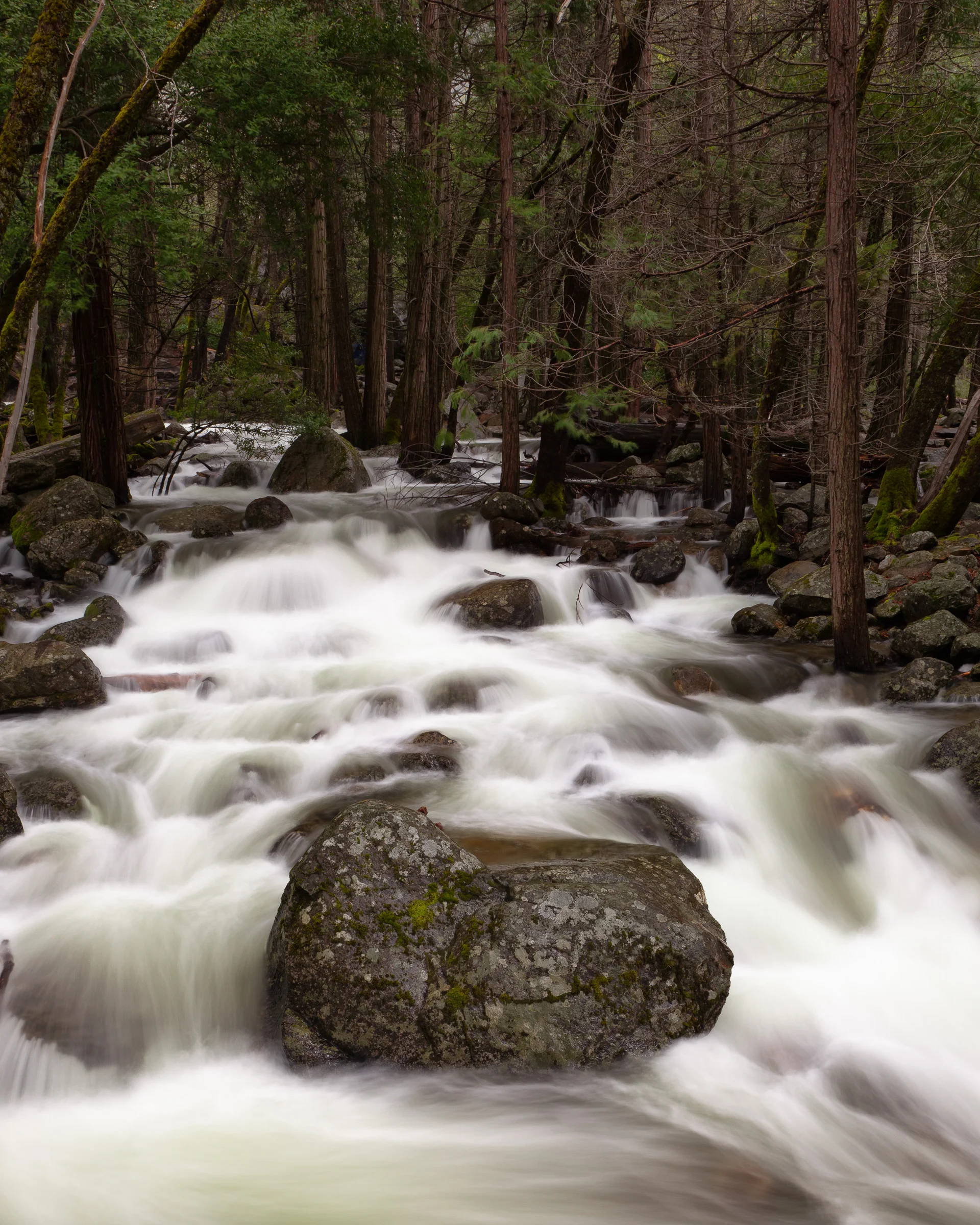 Below Bridal Veil Falls - Yosemite National Park