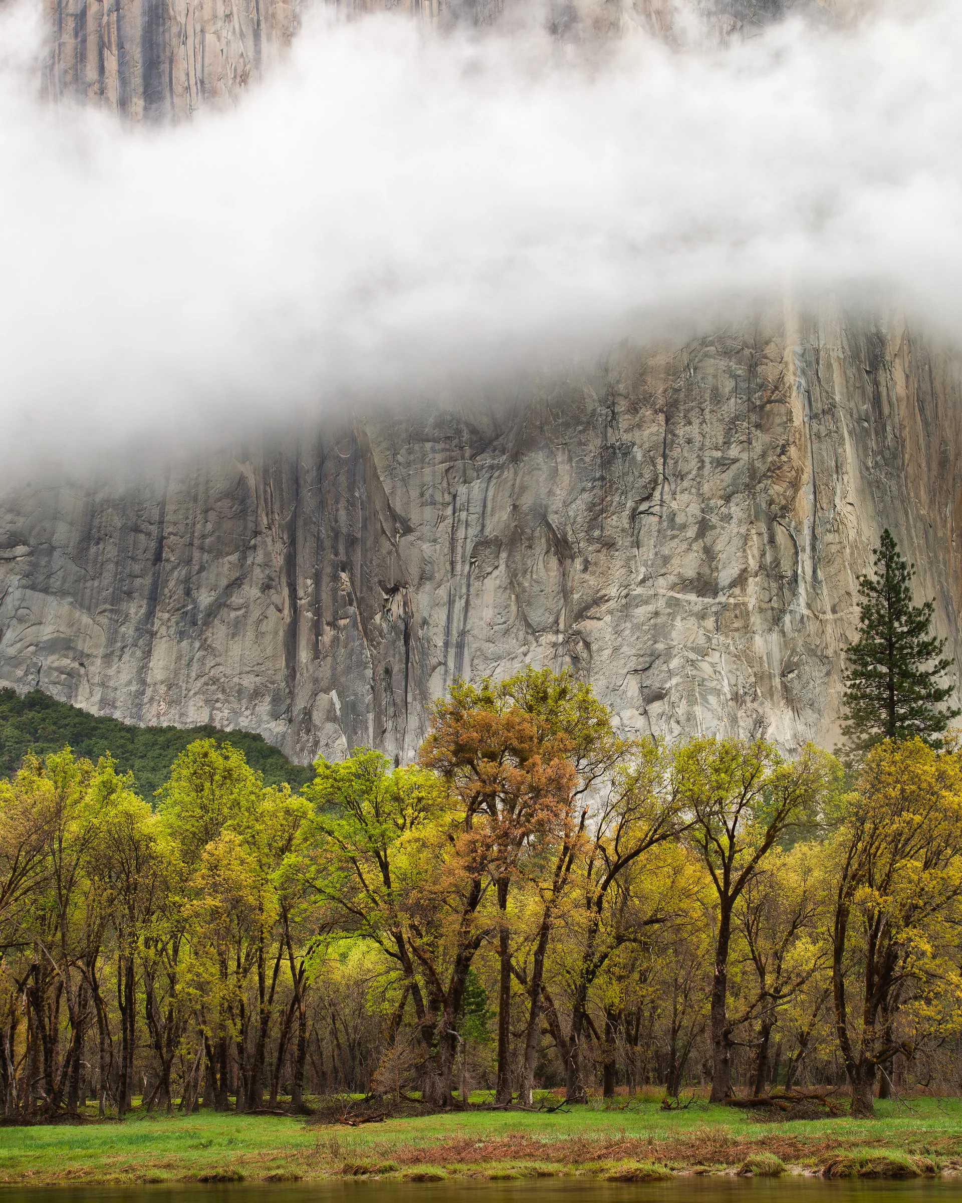 El Capitan in Clouds - Yosemite National Park