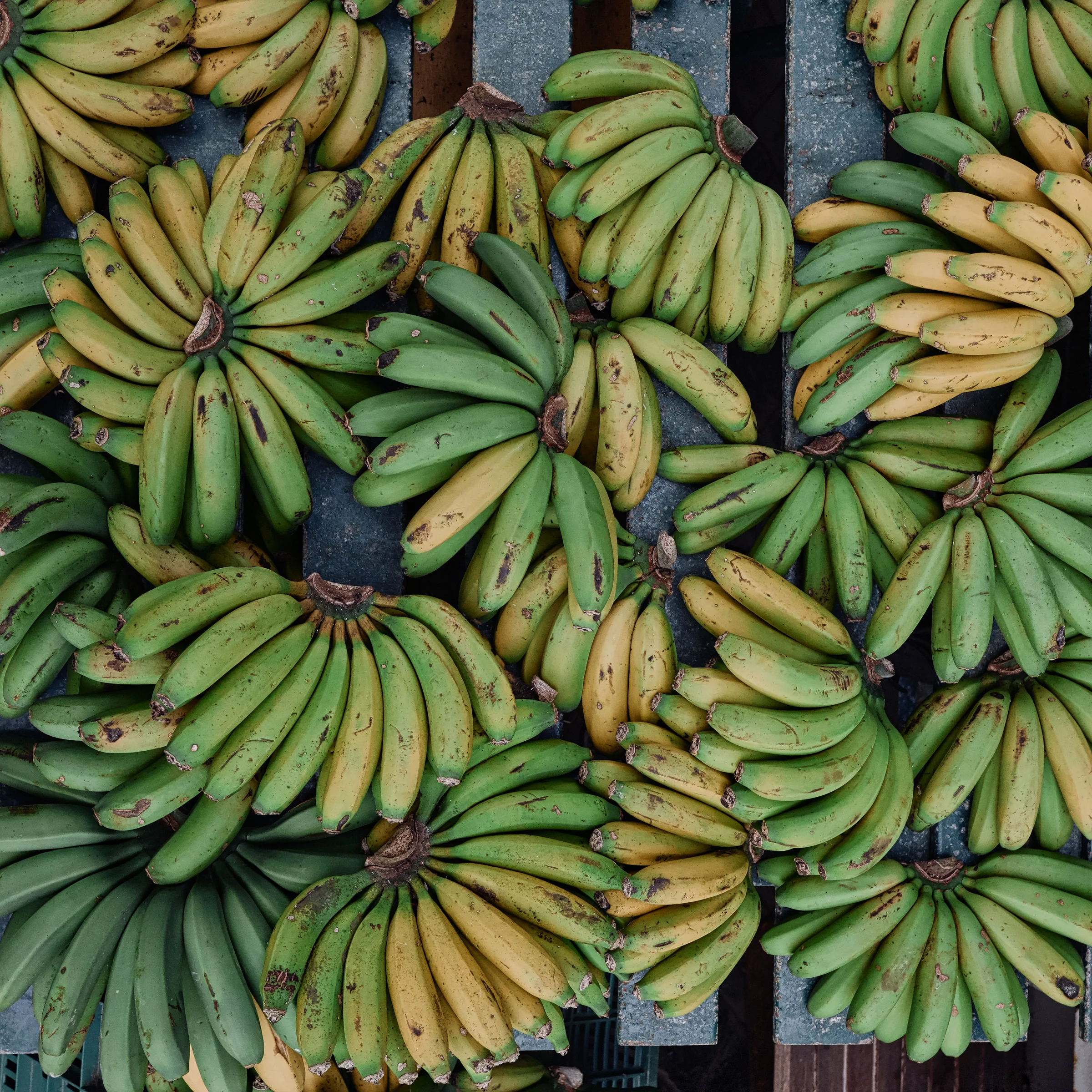 Bananas - Ponta Delgada's Farmer's Market