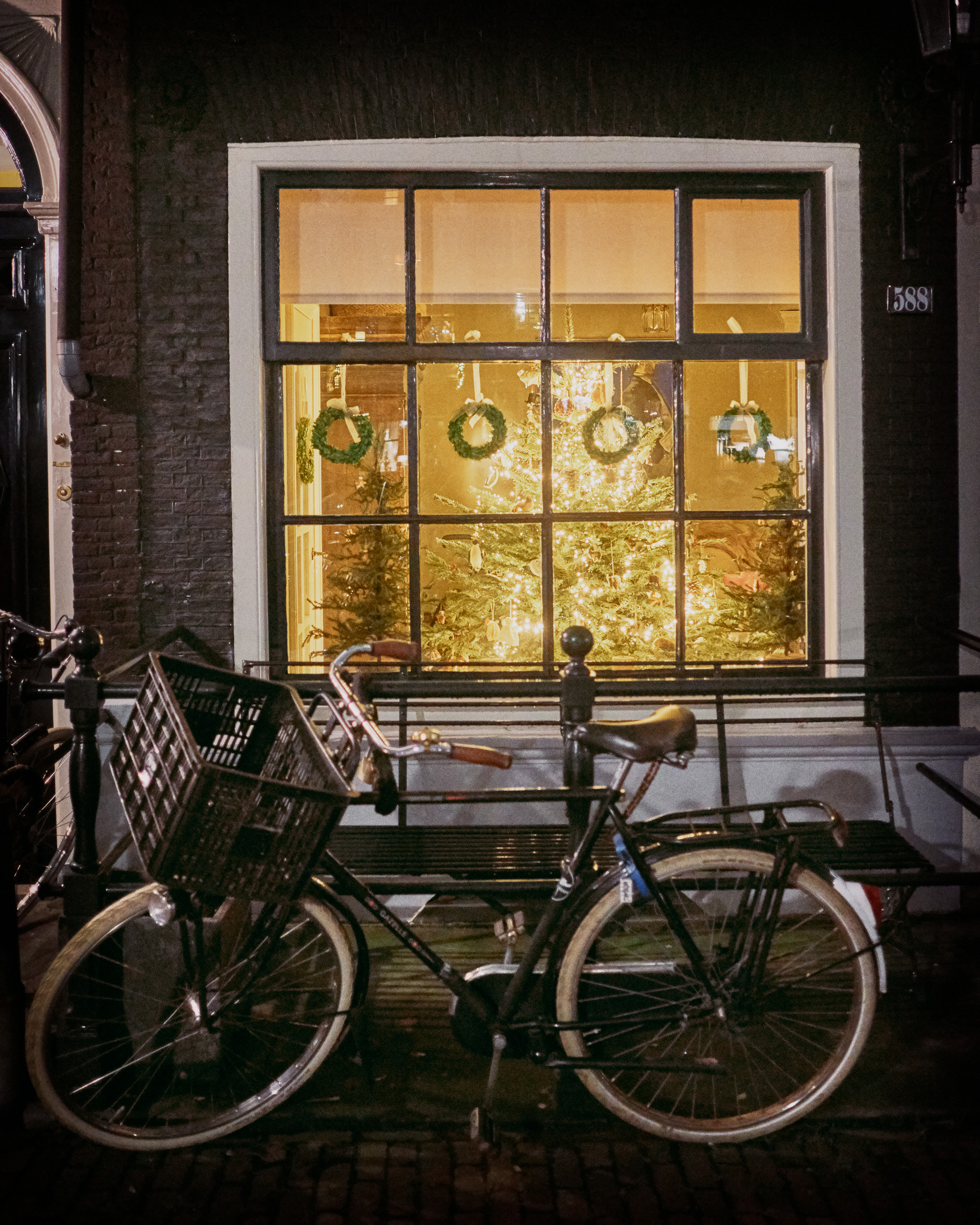 Christmas Tree and Bike - Amsterdam