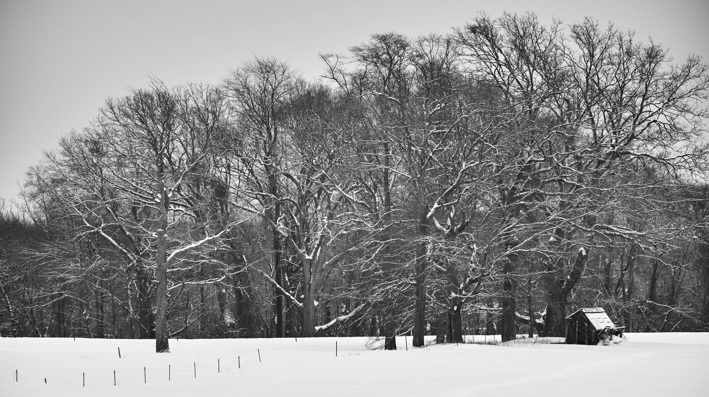 20150208_112046_X-E1_00162_C1.jpg