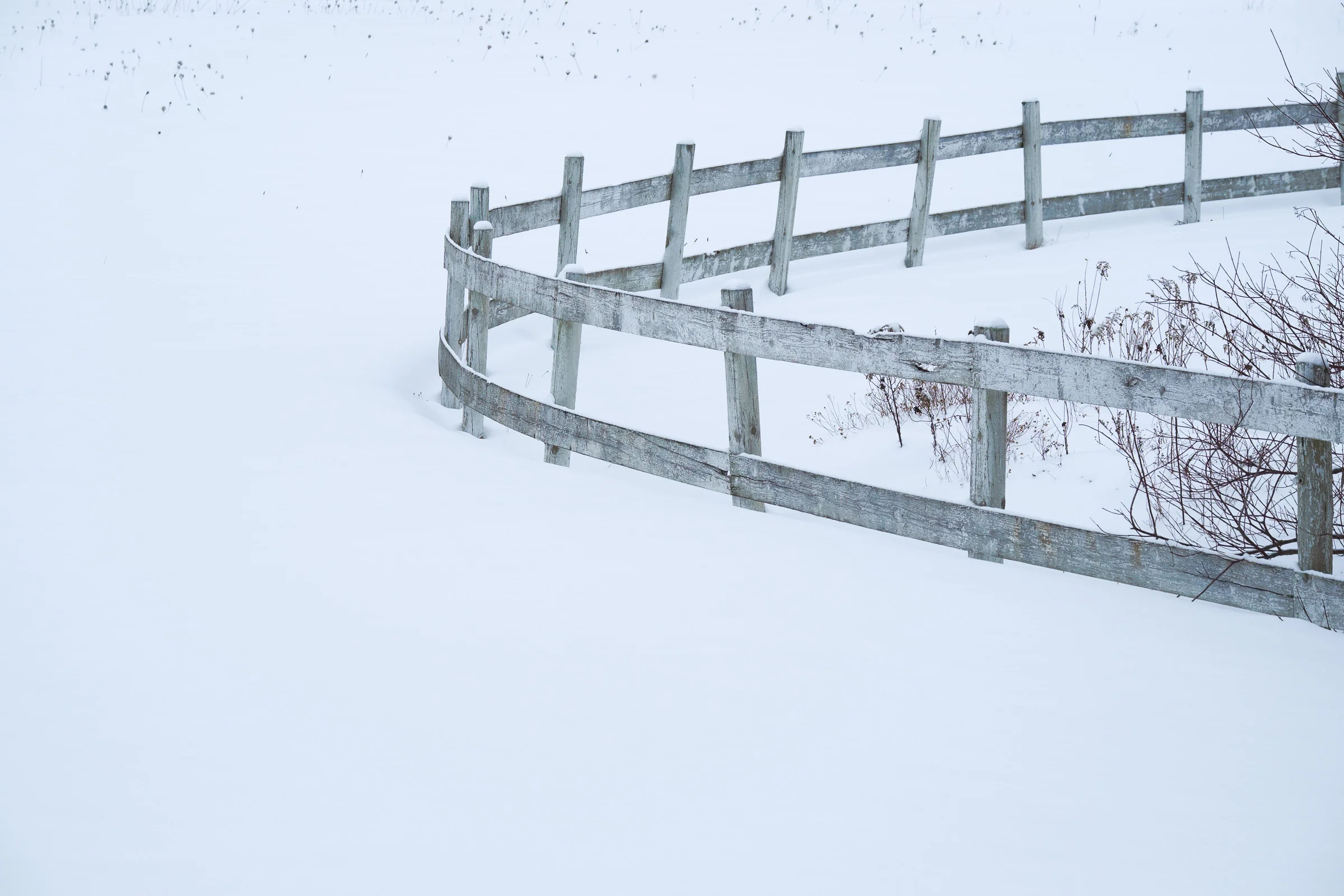 20150208_115414_X-E1_00165_C1.jpg