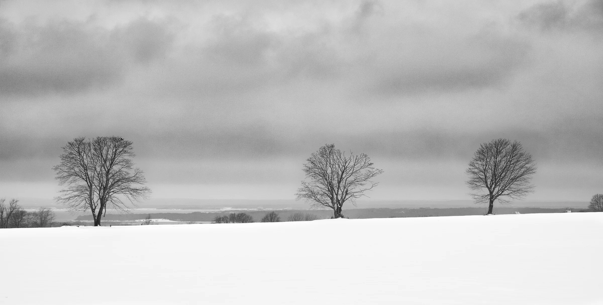 20150208_135211_X-E1_00218_C1.jpg