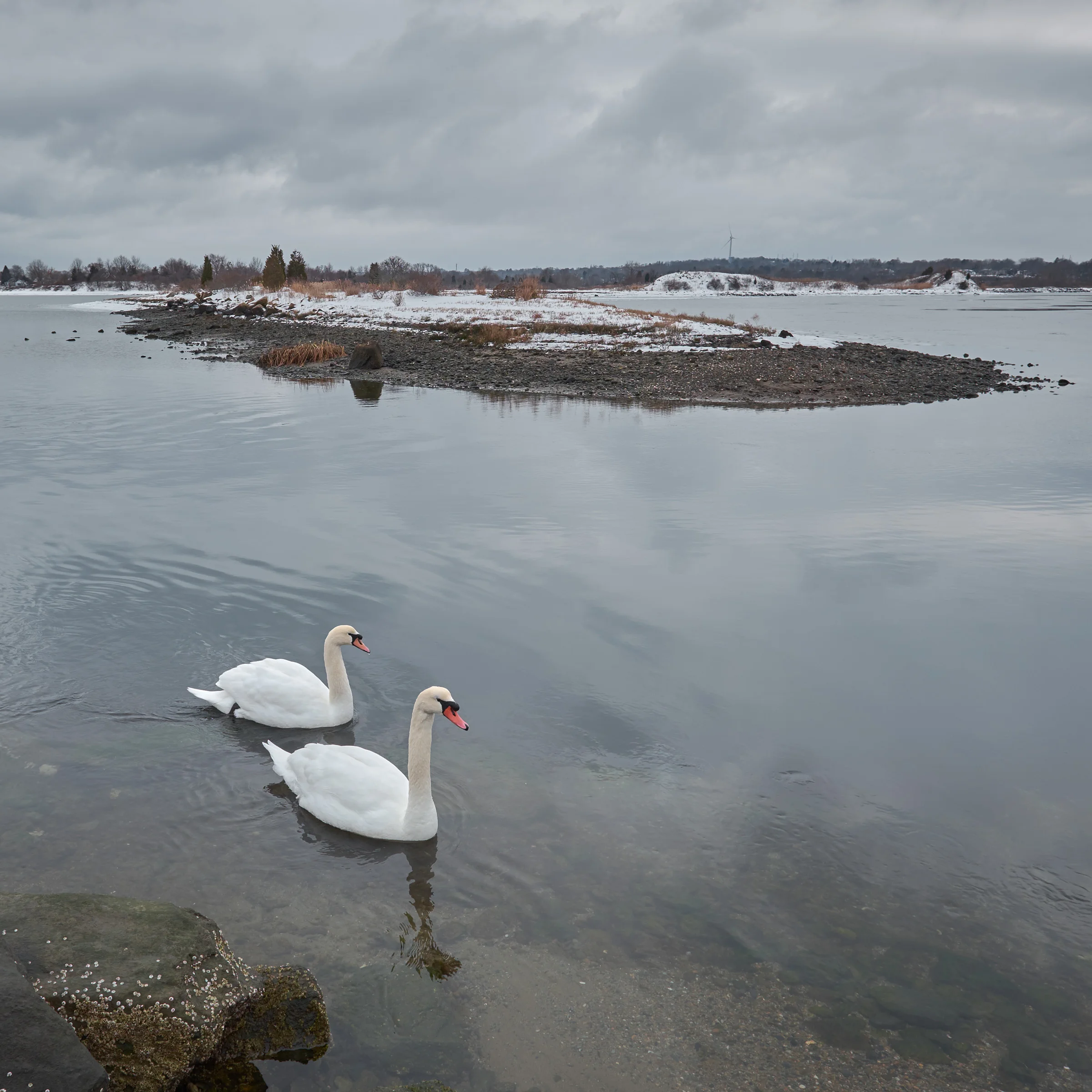 20150208_151737_X-E2_00241.jpg