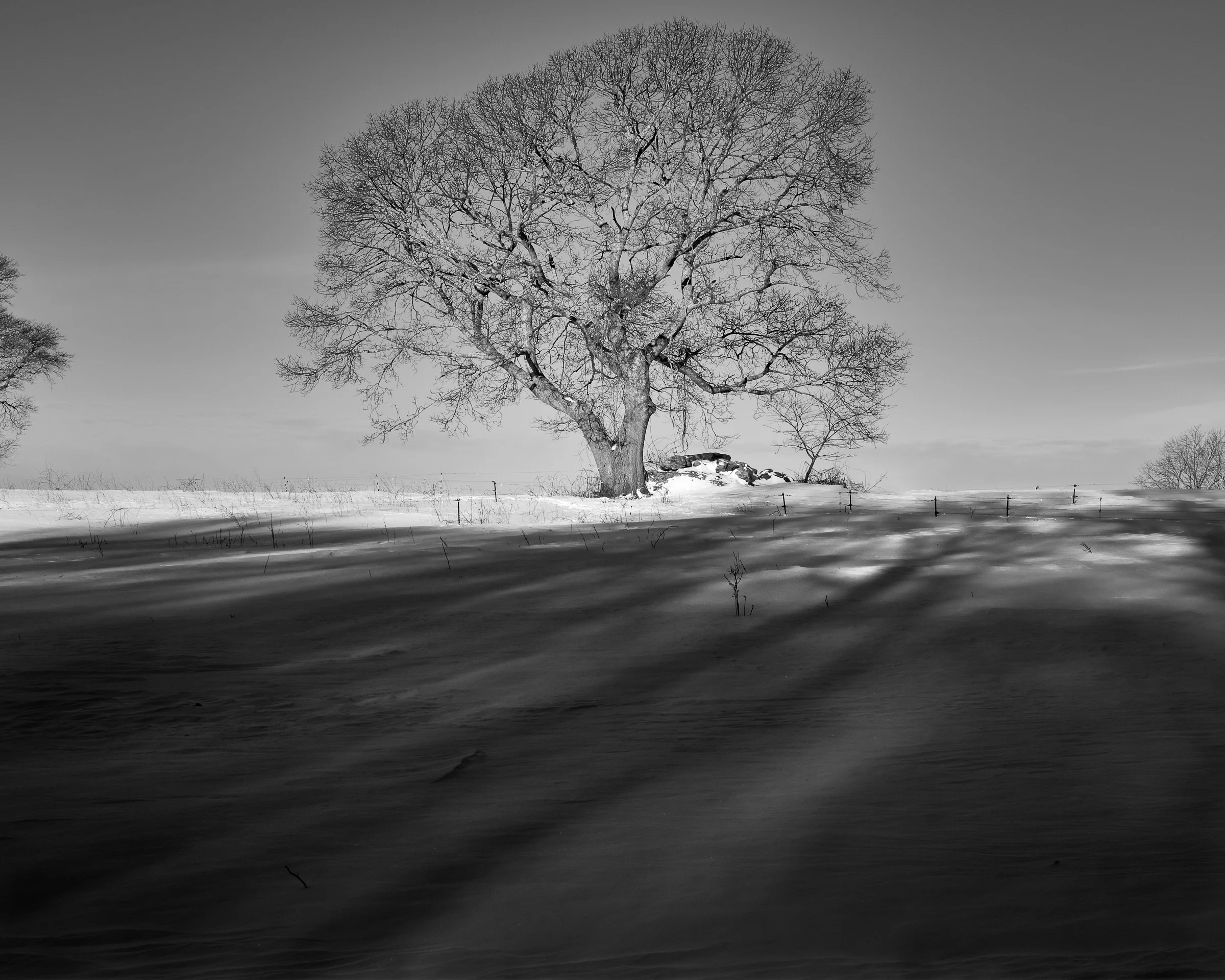 20150221_082653_X-E2_00351_C1.jpg