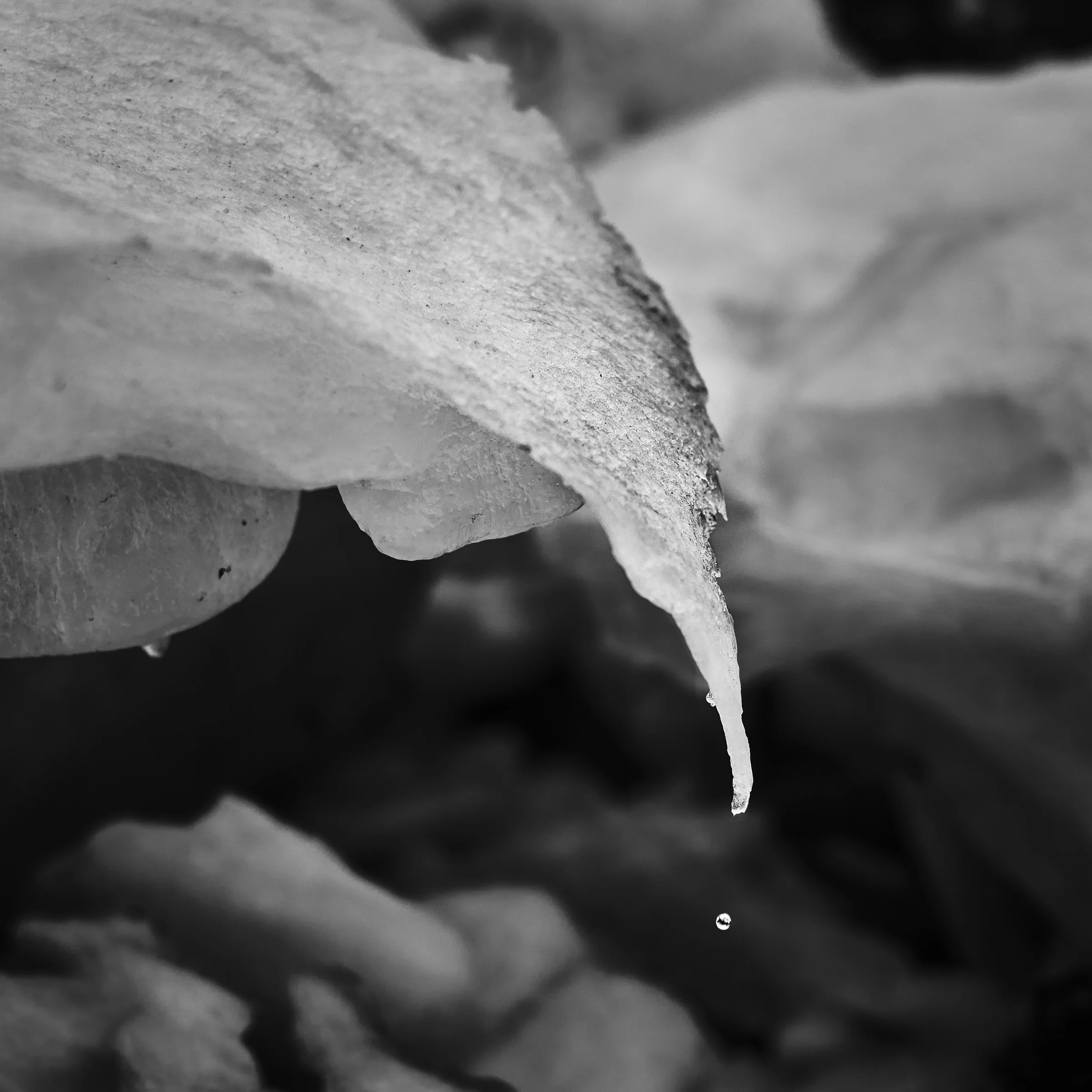 20150221_164421_X-E2_00448_C1.jpg