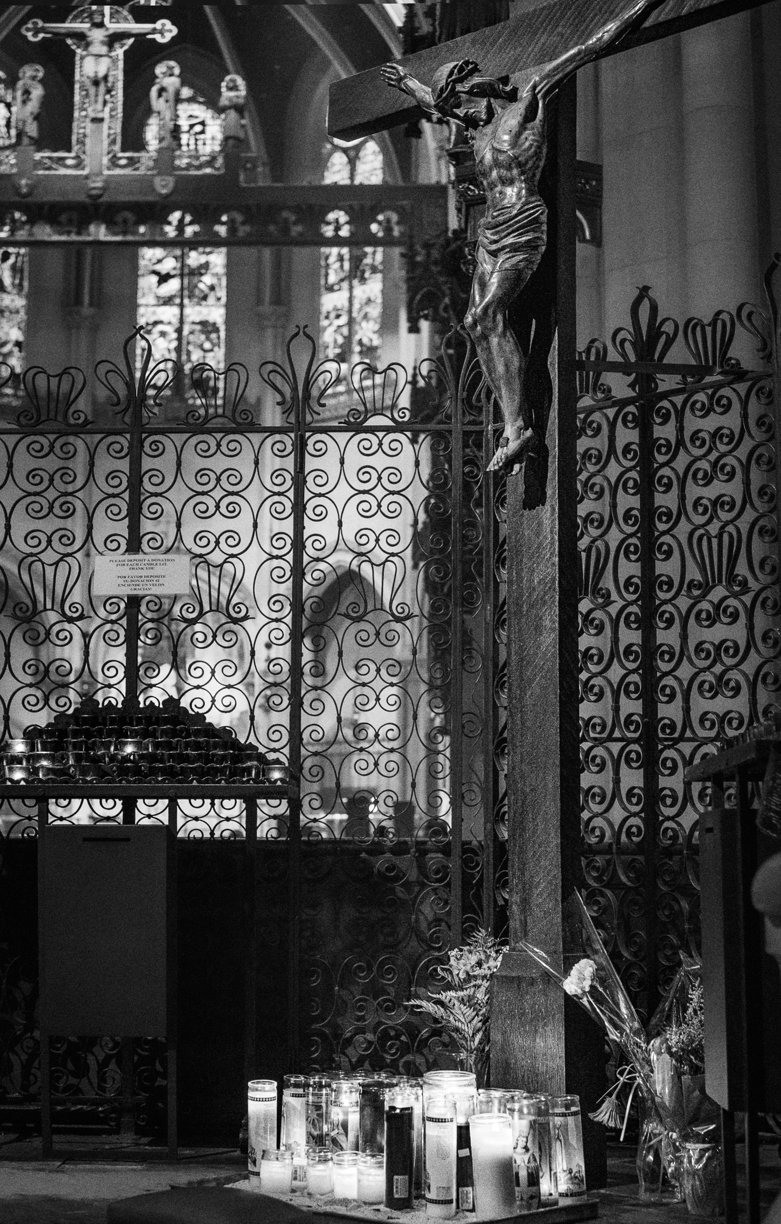 20150503_132718_X-E2__DSF3080_psharp_.jpg