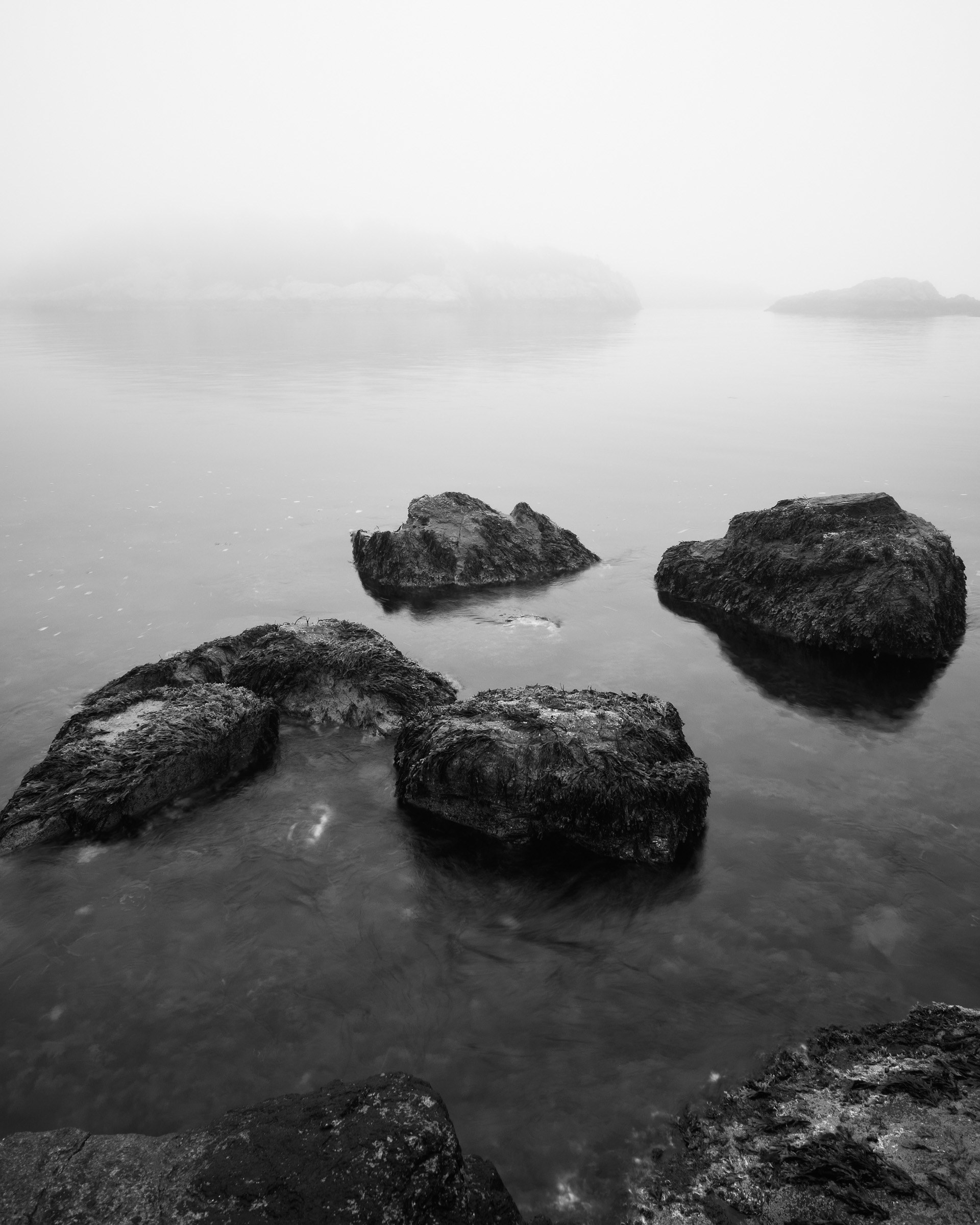 20150510_053311_X-E2__DSF3137_C1.jpg
