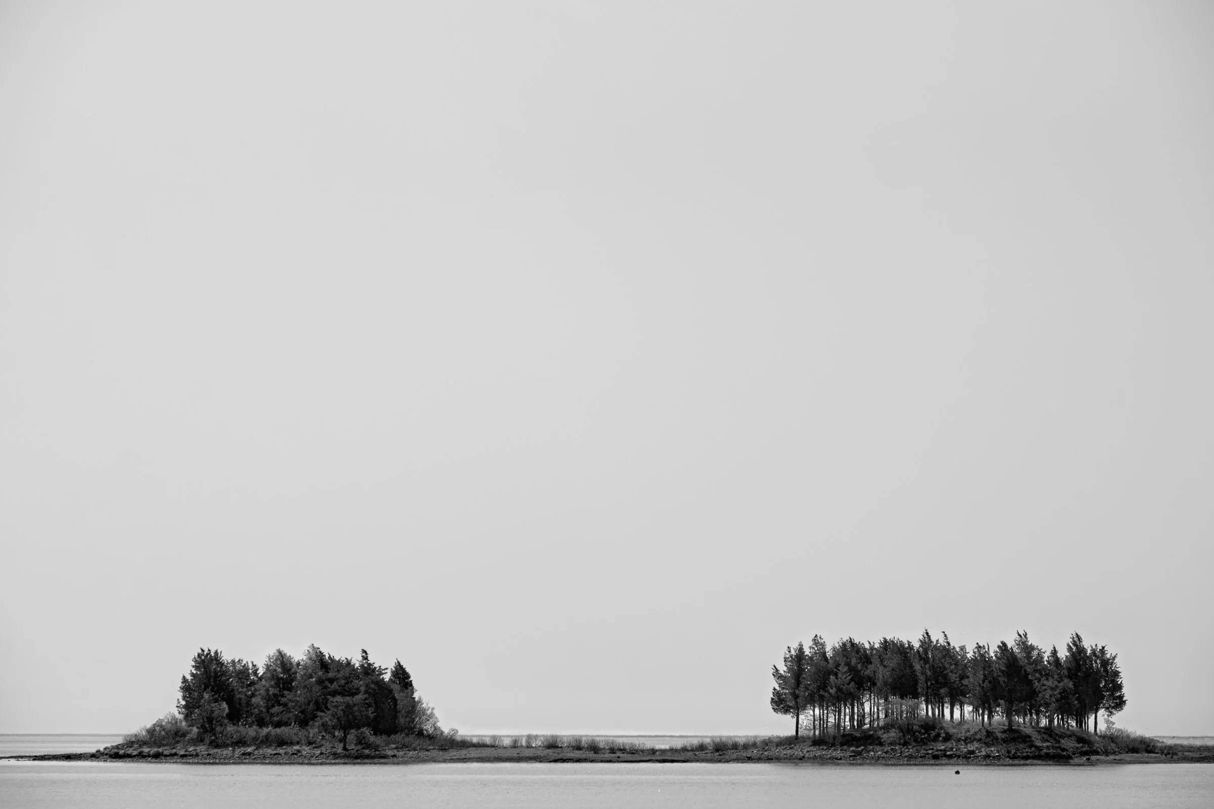 20150517_092443_X-E2__DSF3324-Edit.jpg