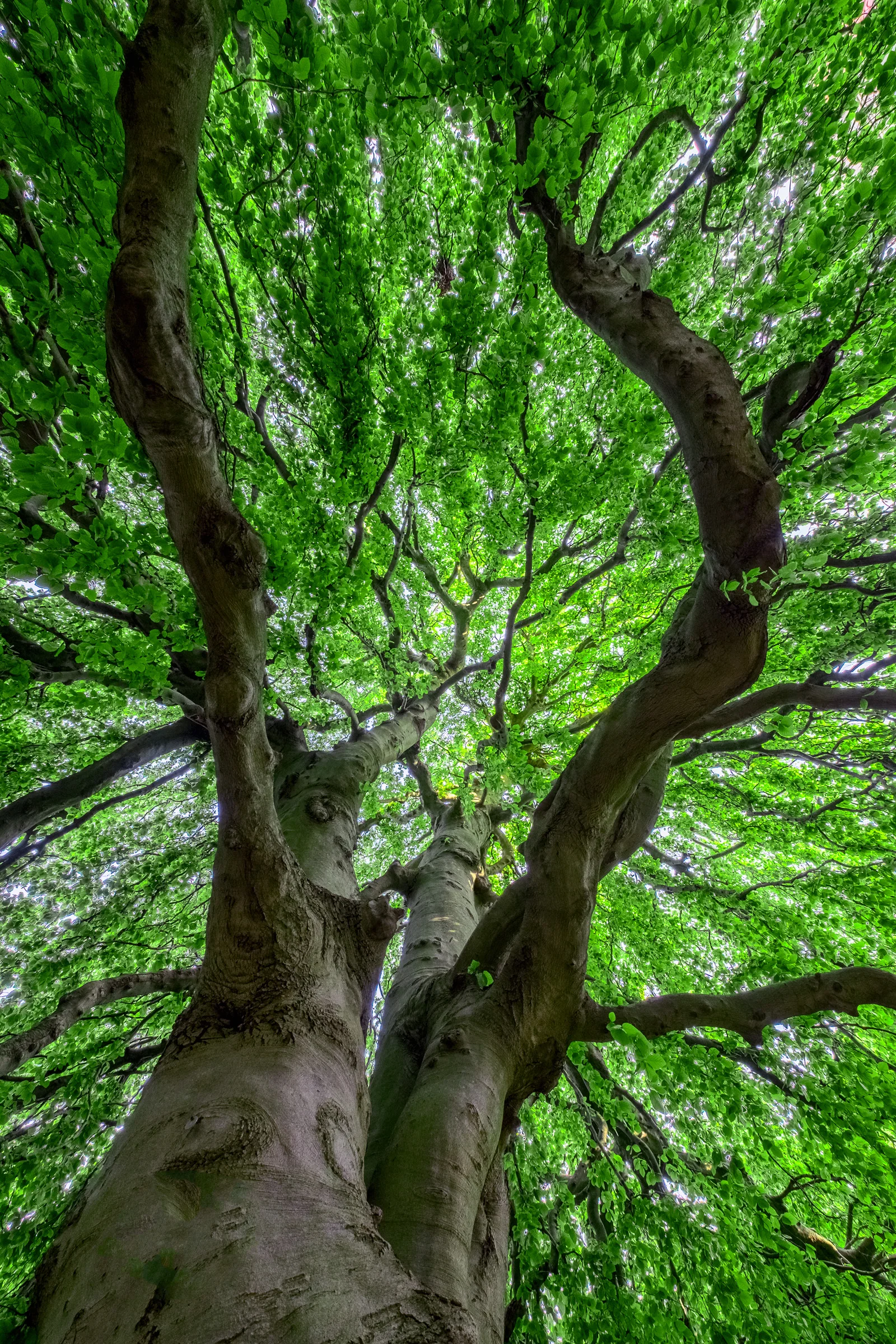 20150525_063846_X-E2__DSF3398-HDR_psharp_.jpg