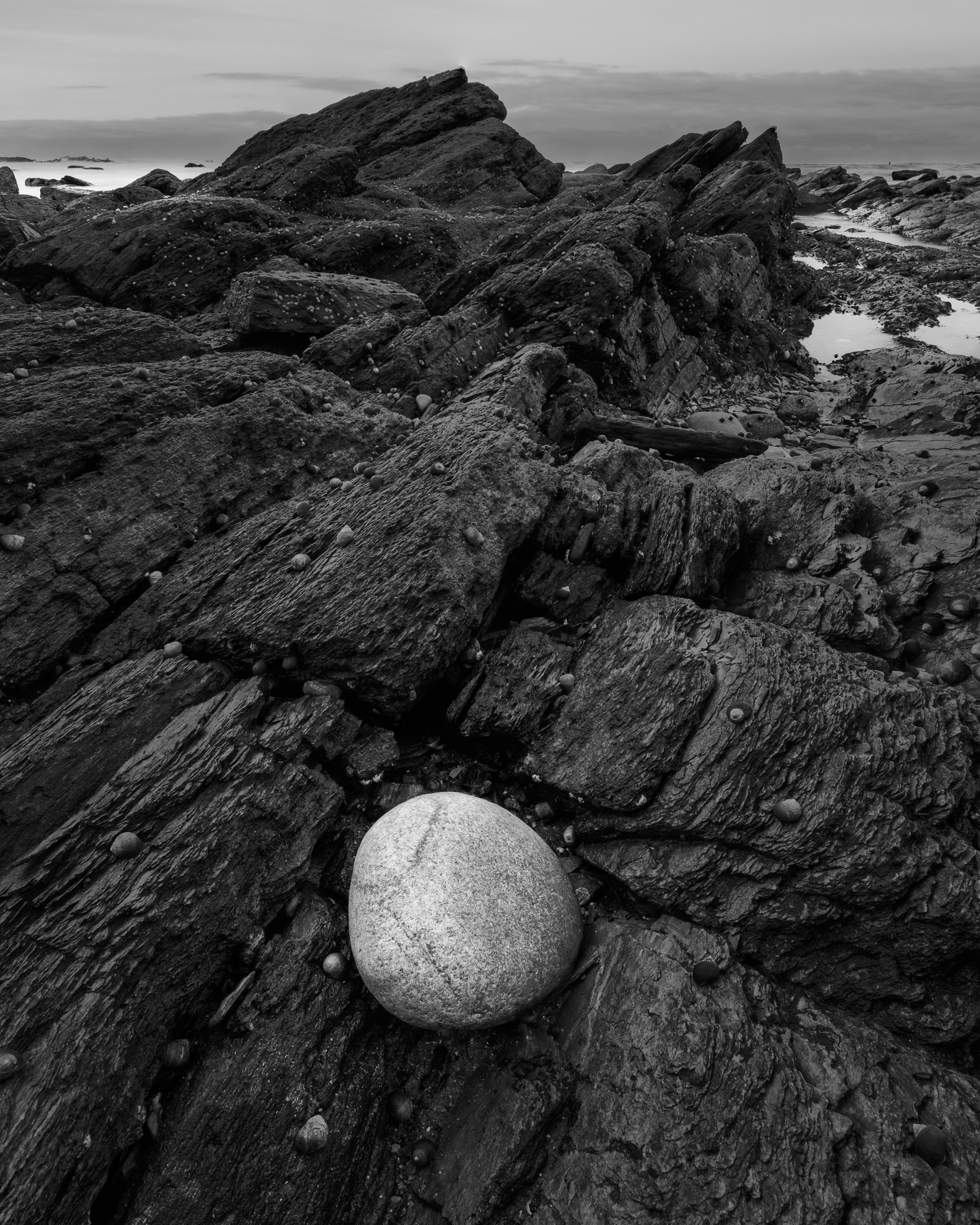 20160101_081117_X-E2__DSF7749-Edit.jpg