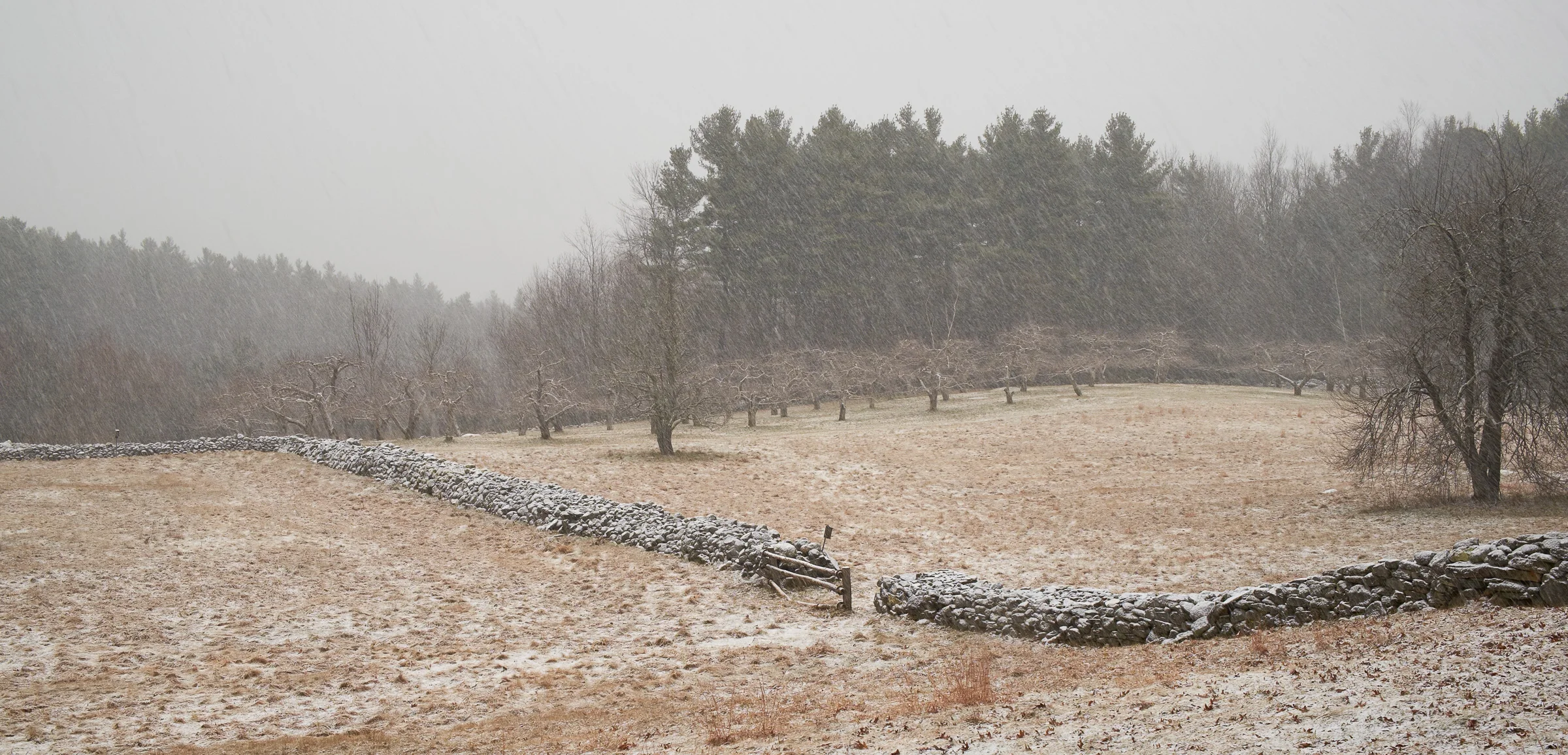 20140118_094732__DSF1738_C1.jpg