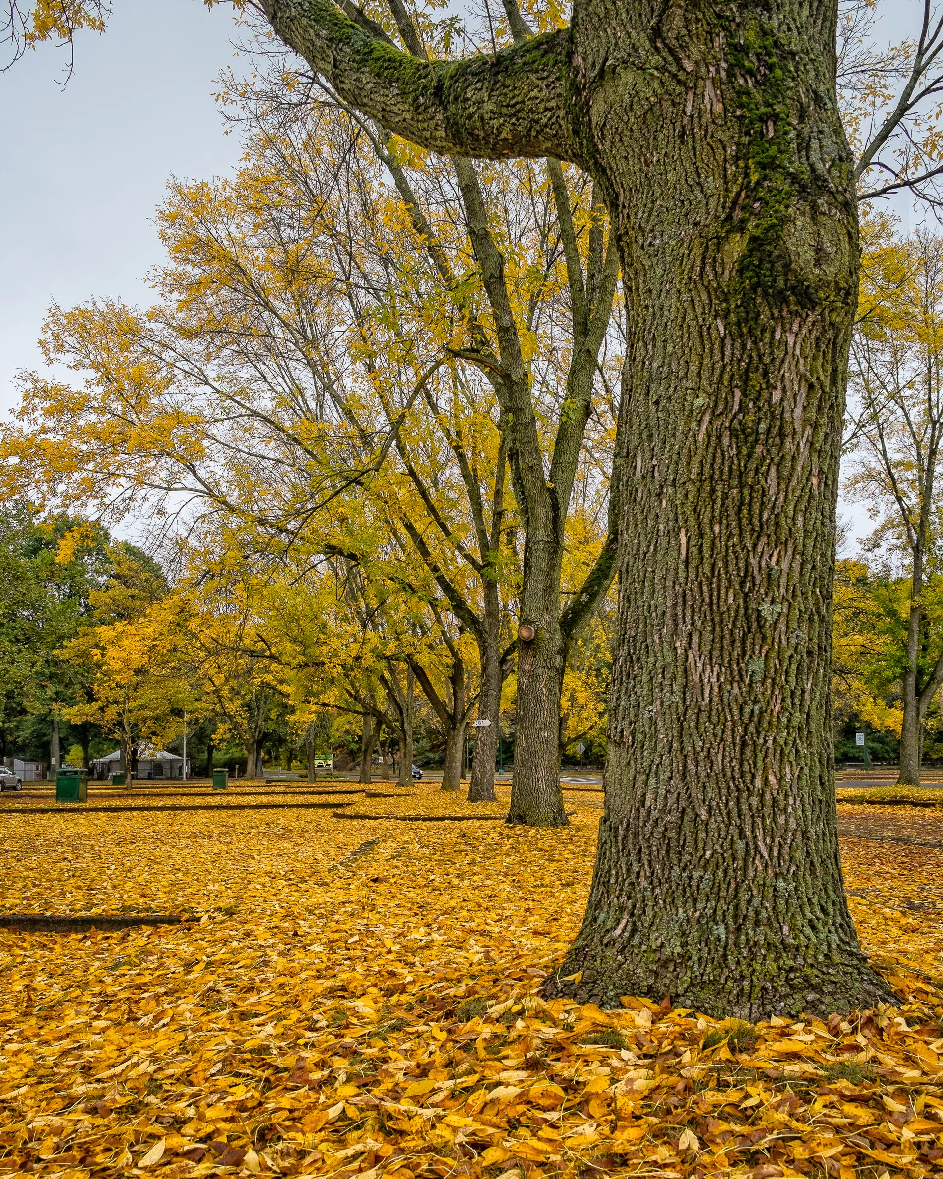 20141004_113750_X-E1_13443-Edit.jpg