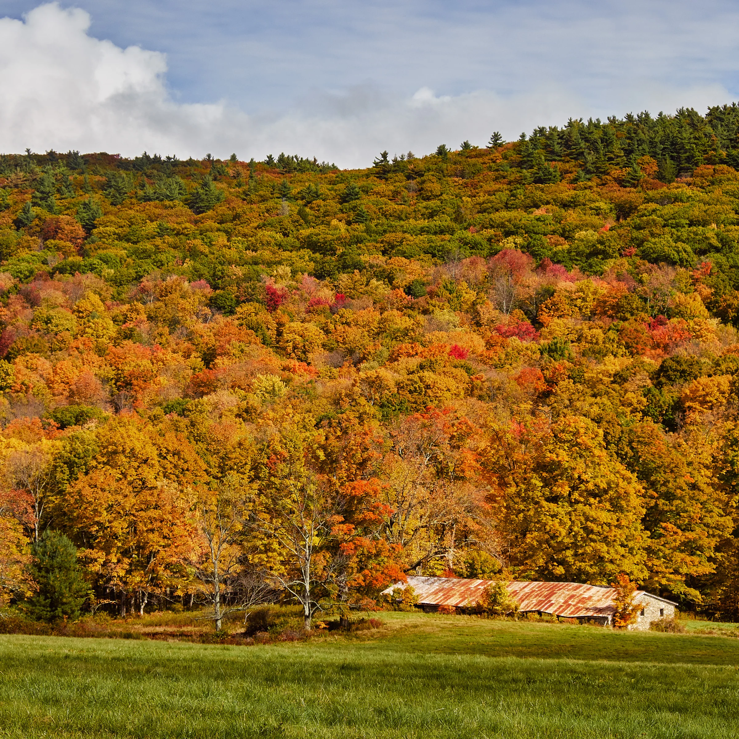 20141011_123947_X-E1_13509_C1.jpg