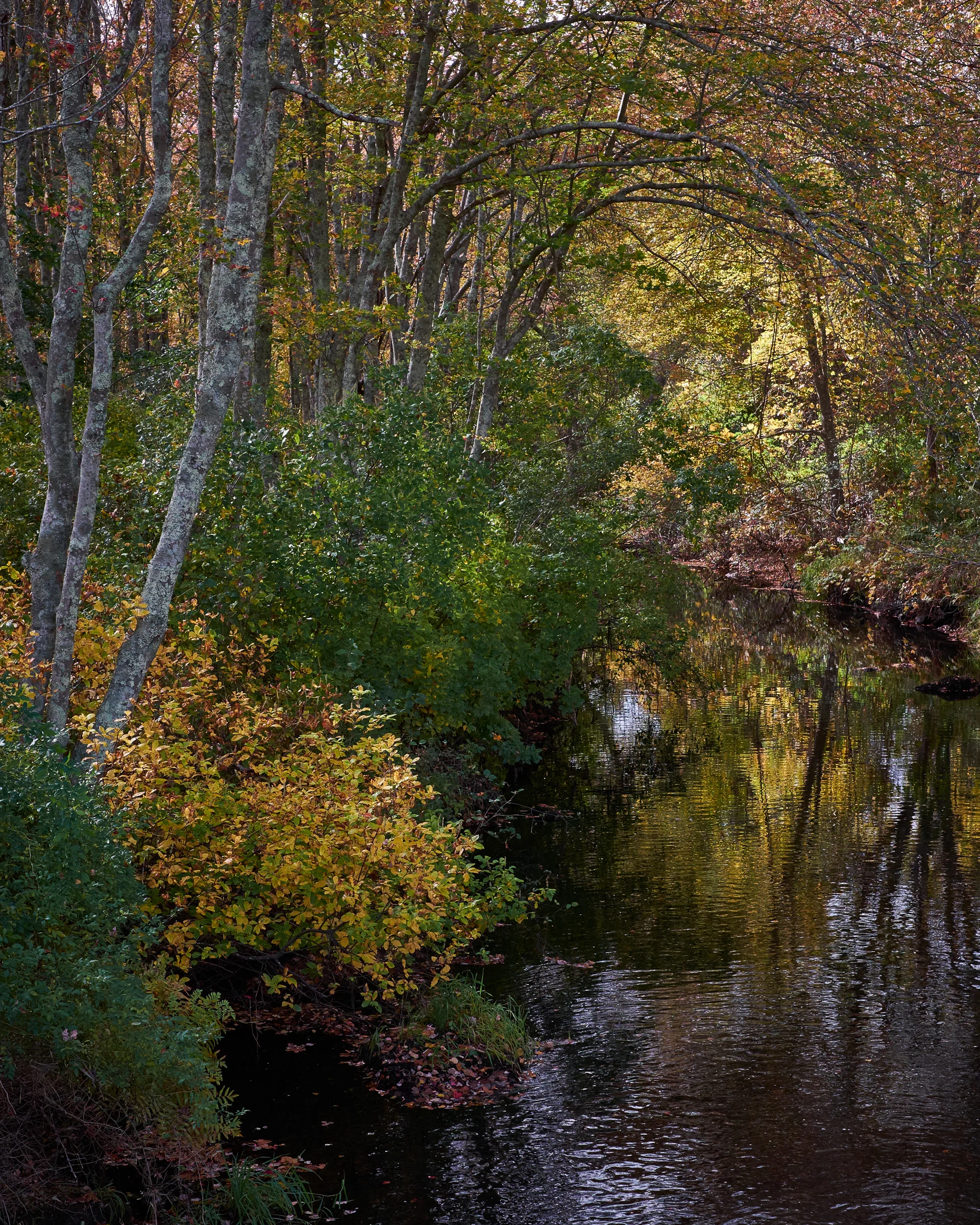 20141013_142030_X-E2_13618_C1.jpg