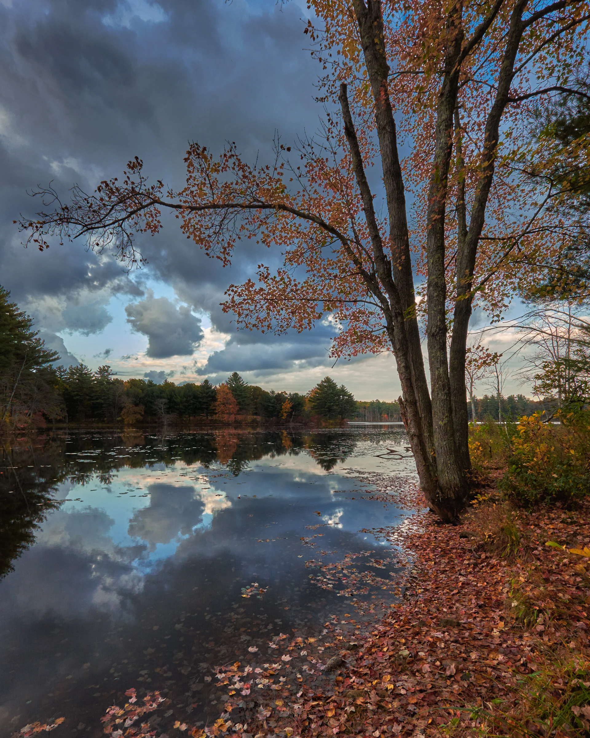 20141018_170831_X-E2_13714_C1.jpg