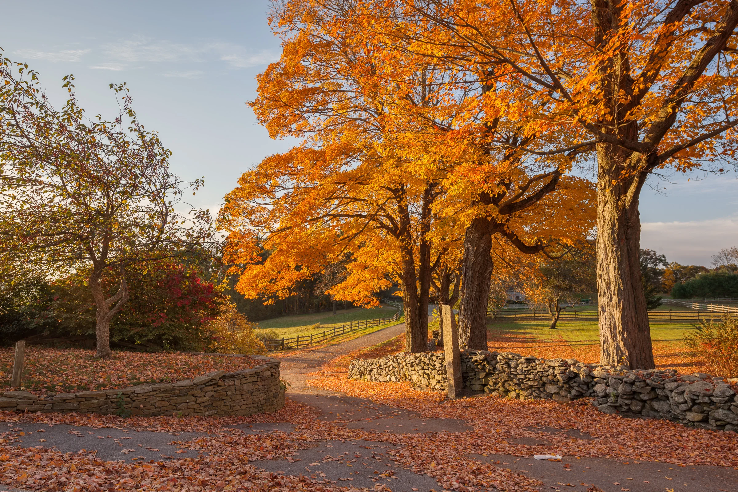 20131019_074400__MG_1097-Edit_32_Bit.jpg