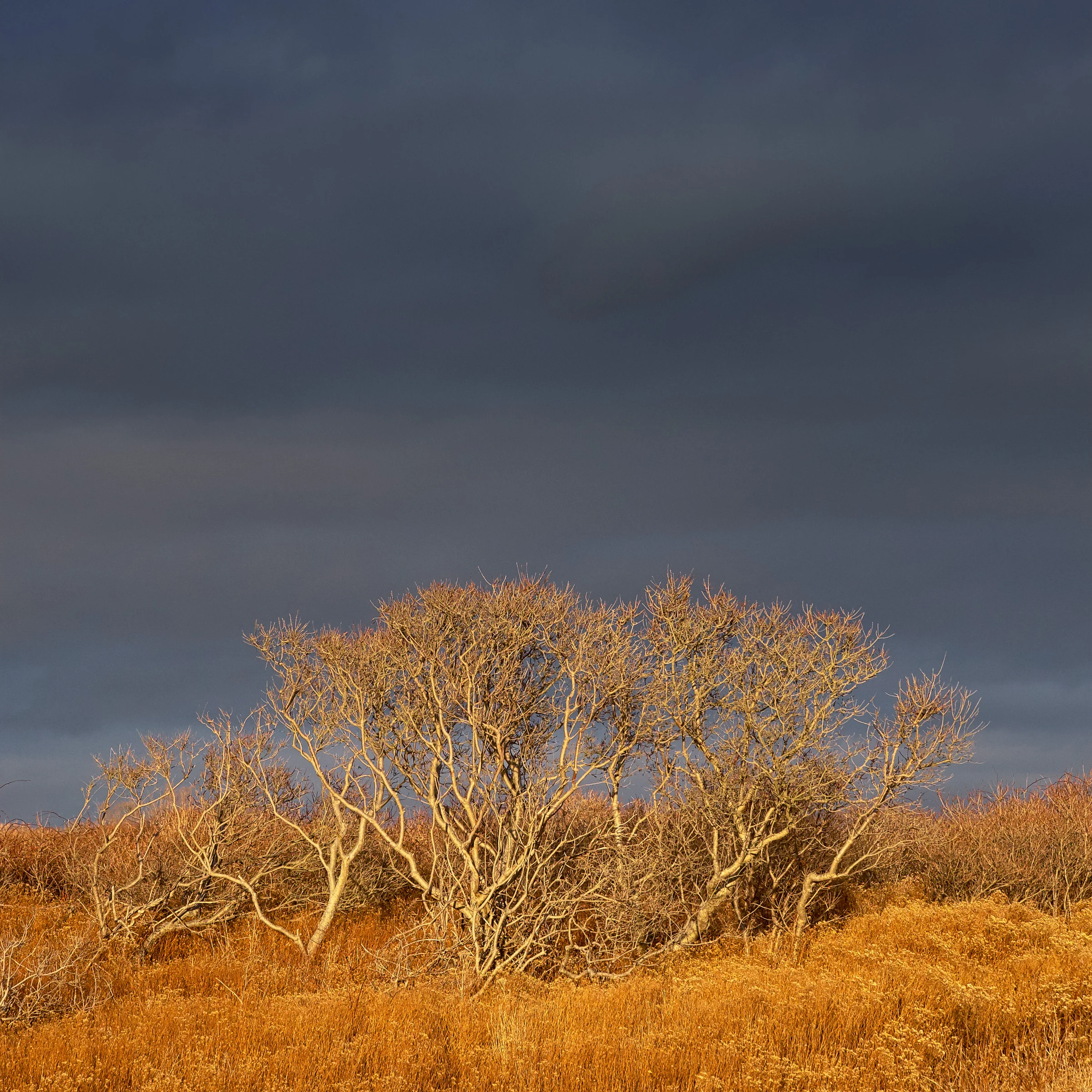20131215_153439__DSF0621_C1.jpg
