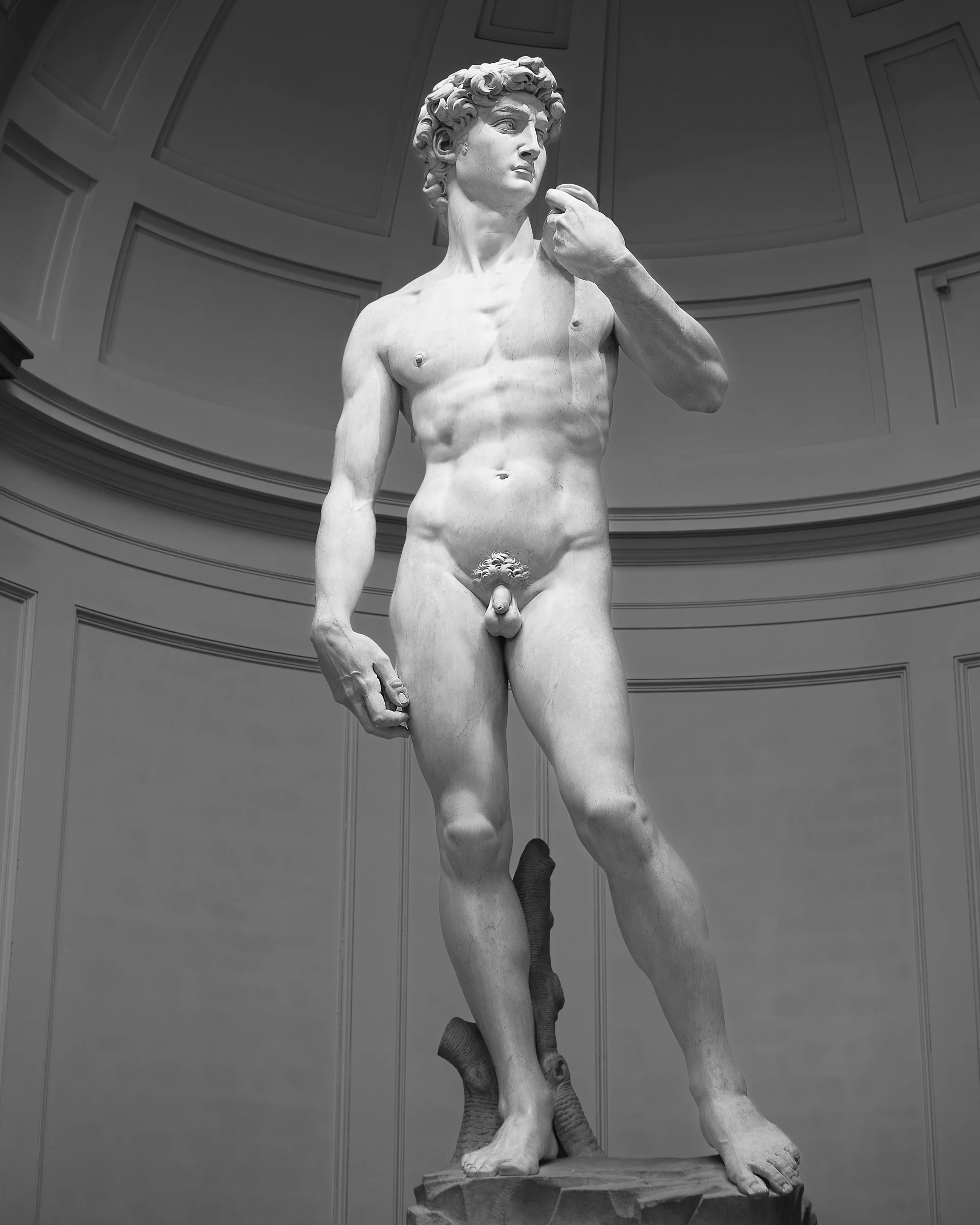 Michelangelo's David - Accademia - Florence