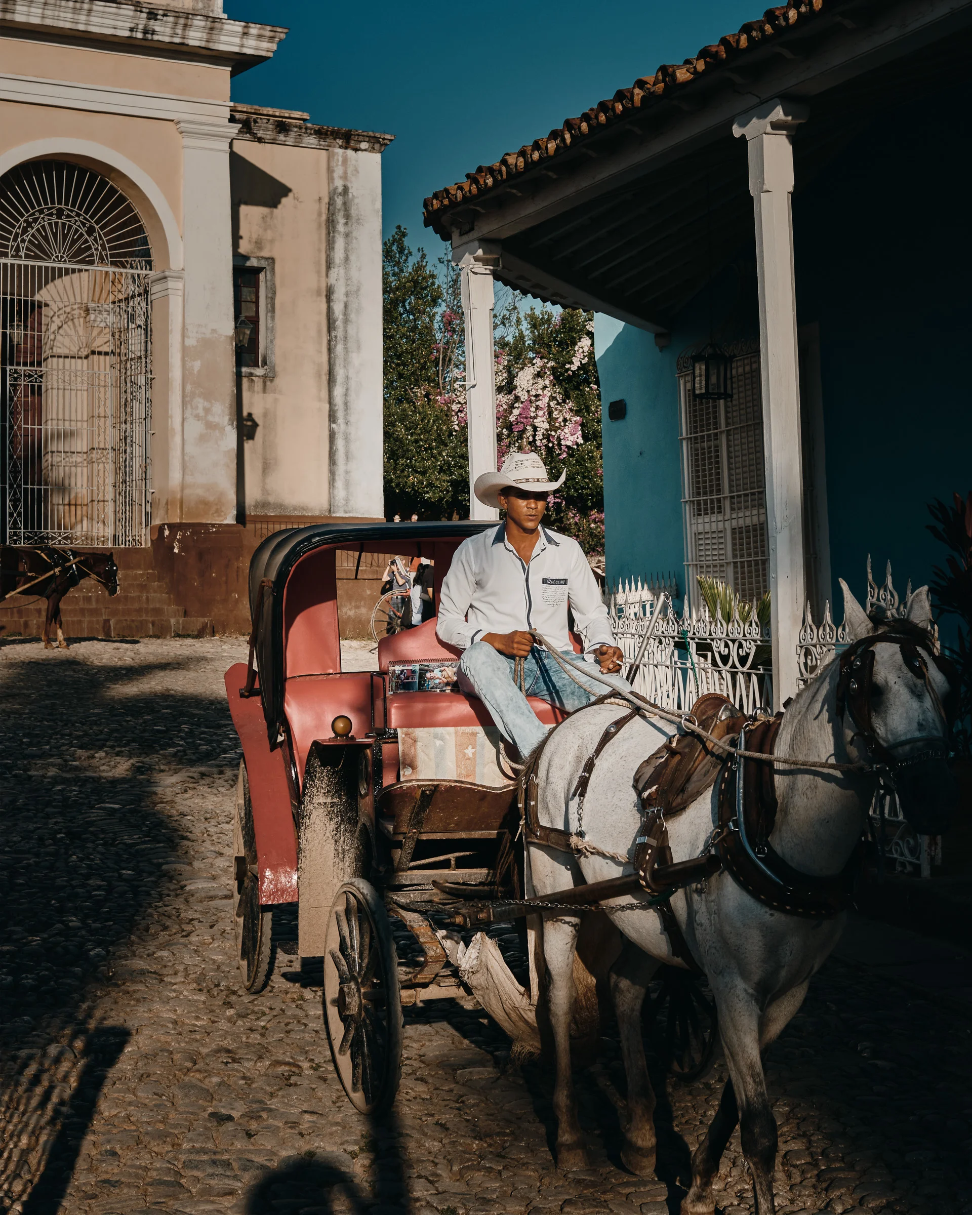 Horse Carriage - Trinidad
