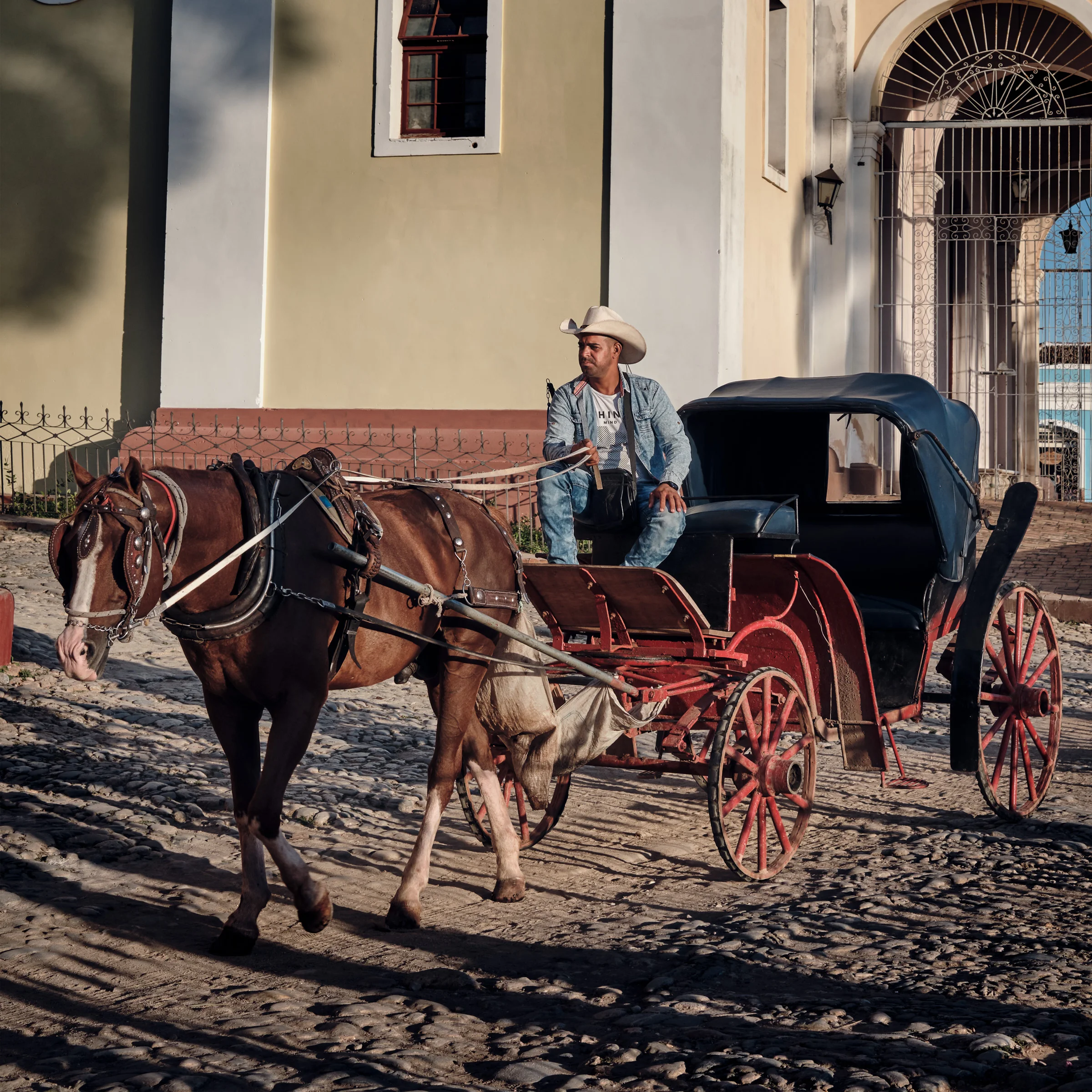 Horse Carriage - Trinidad