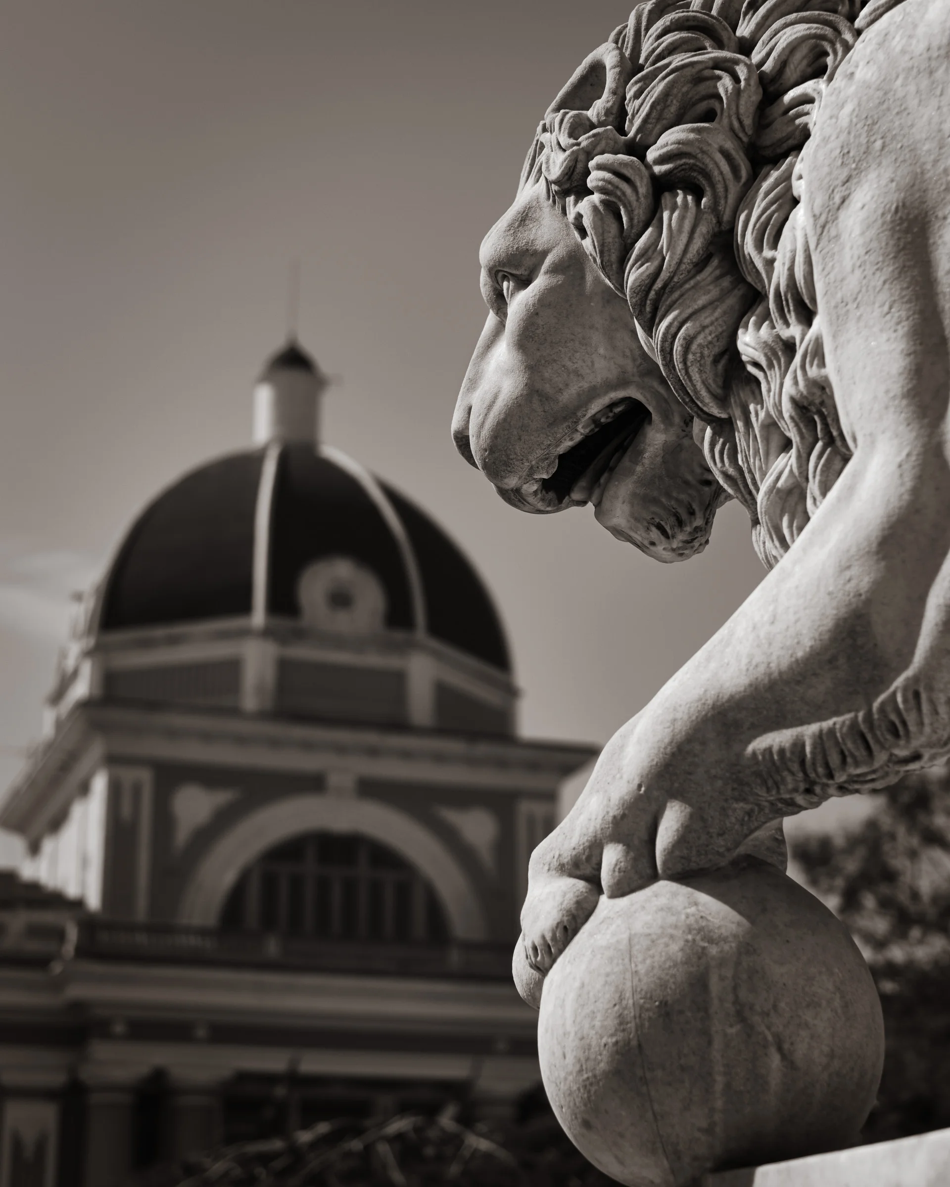 Lion and City Hall - Cienfeugos