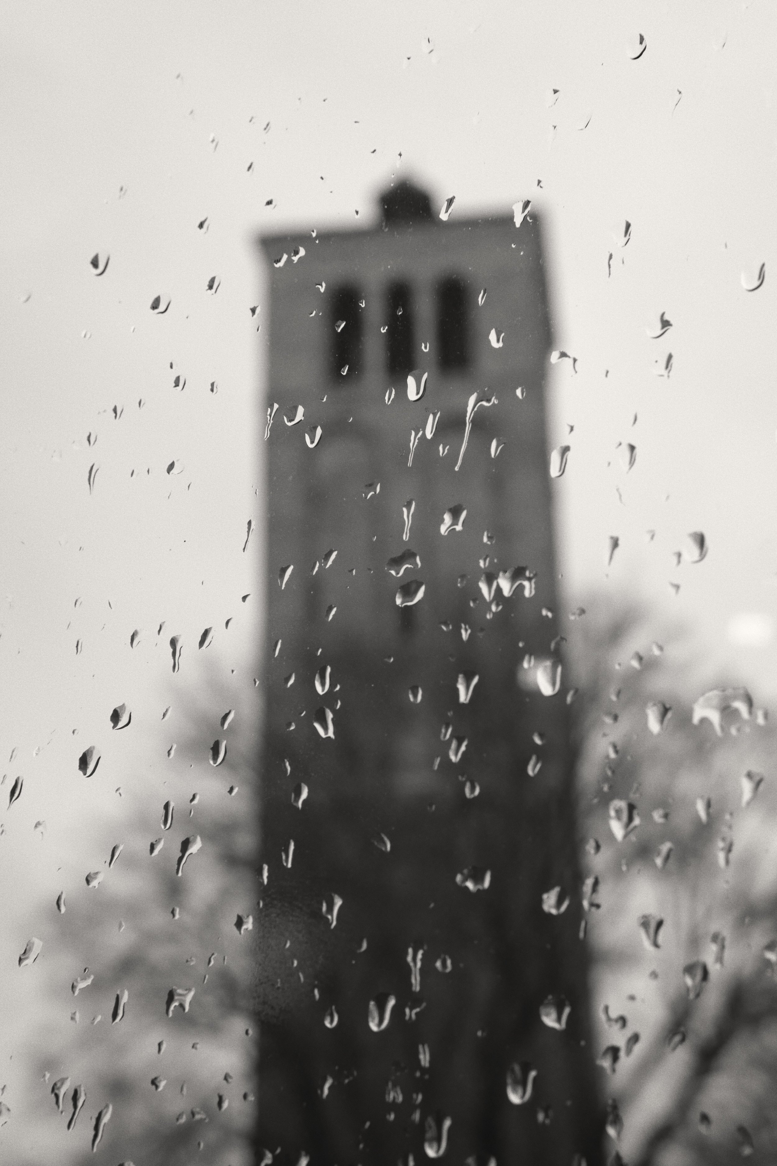 20250226_15-18-23_X-T4_3540.jpg