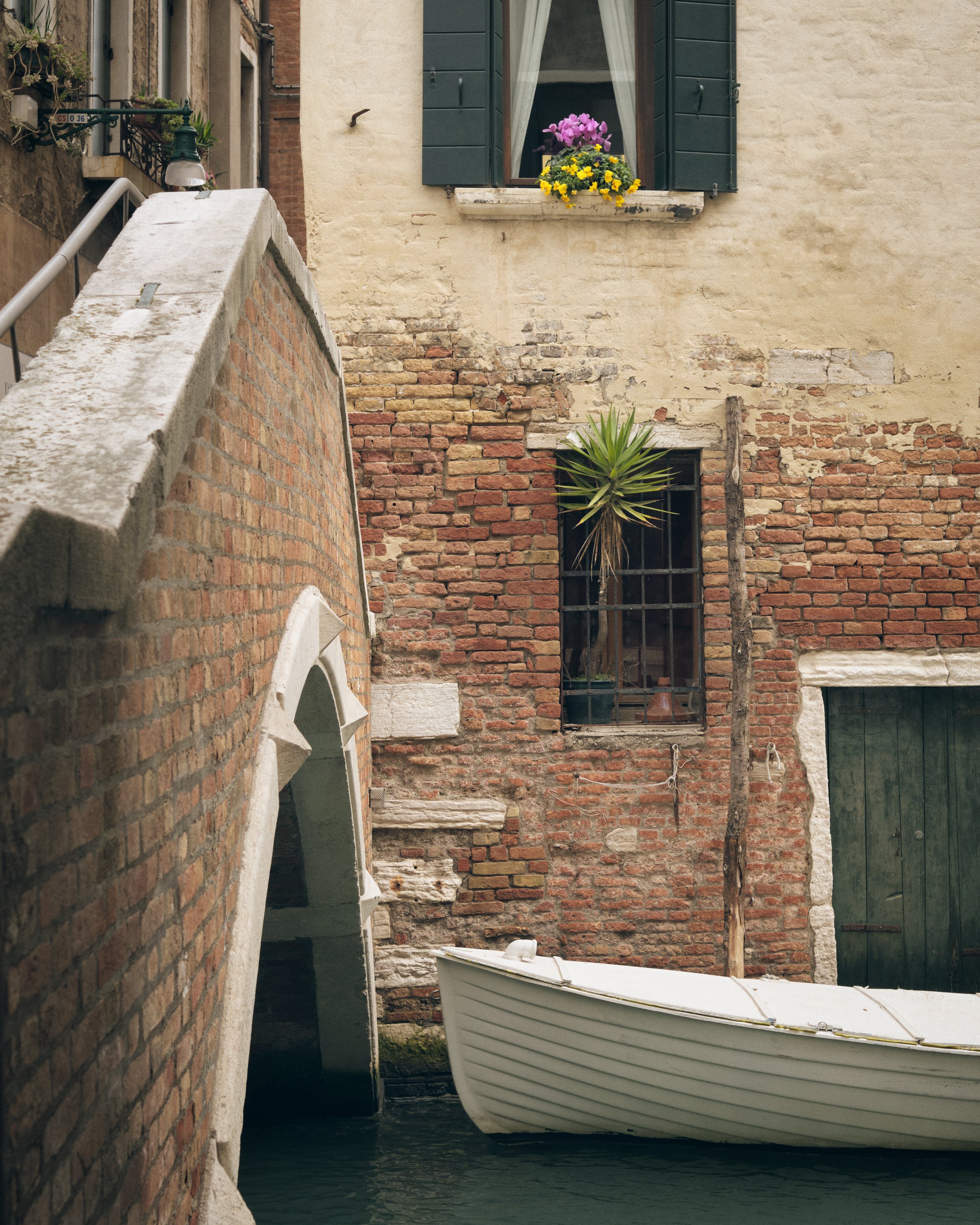 20250301_10-43-29_X-T4_5340.jpg