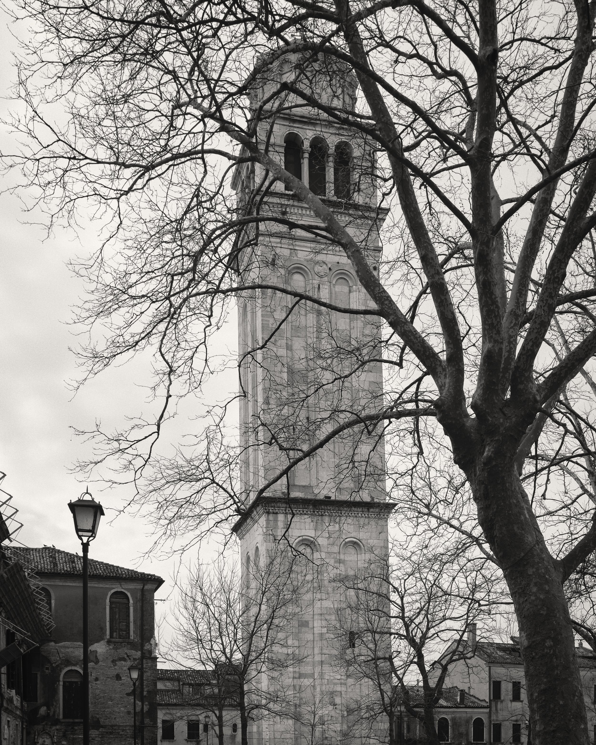 20250301_11-37-22_X-T3_5672.jpg