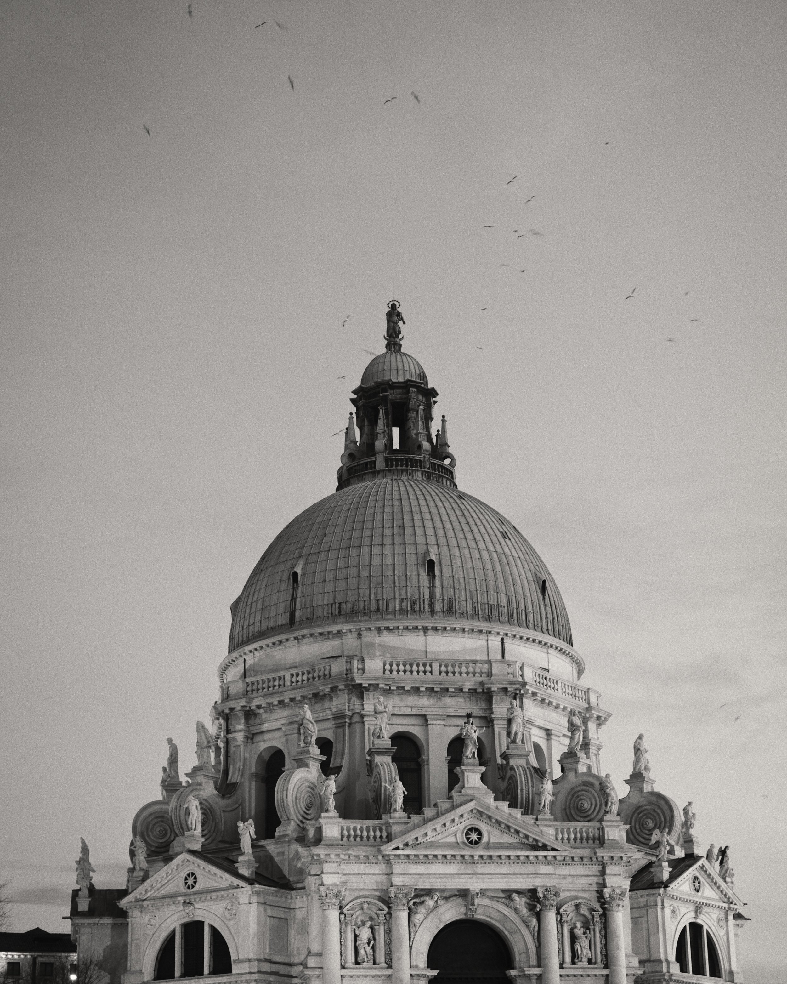 20250301_18-16-26_X-T4_5495.jpg