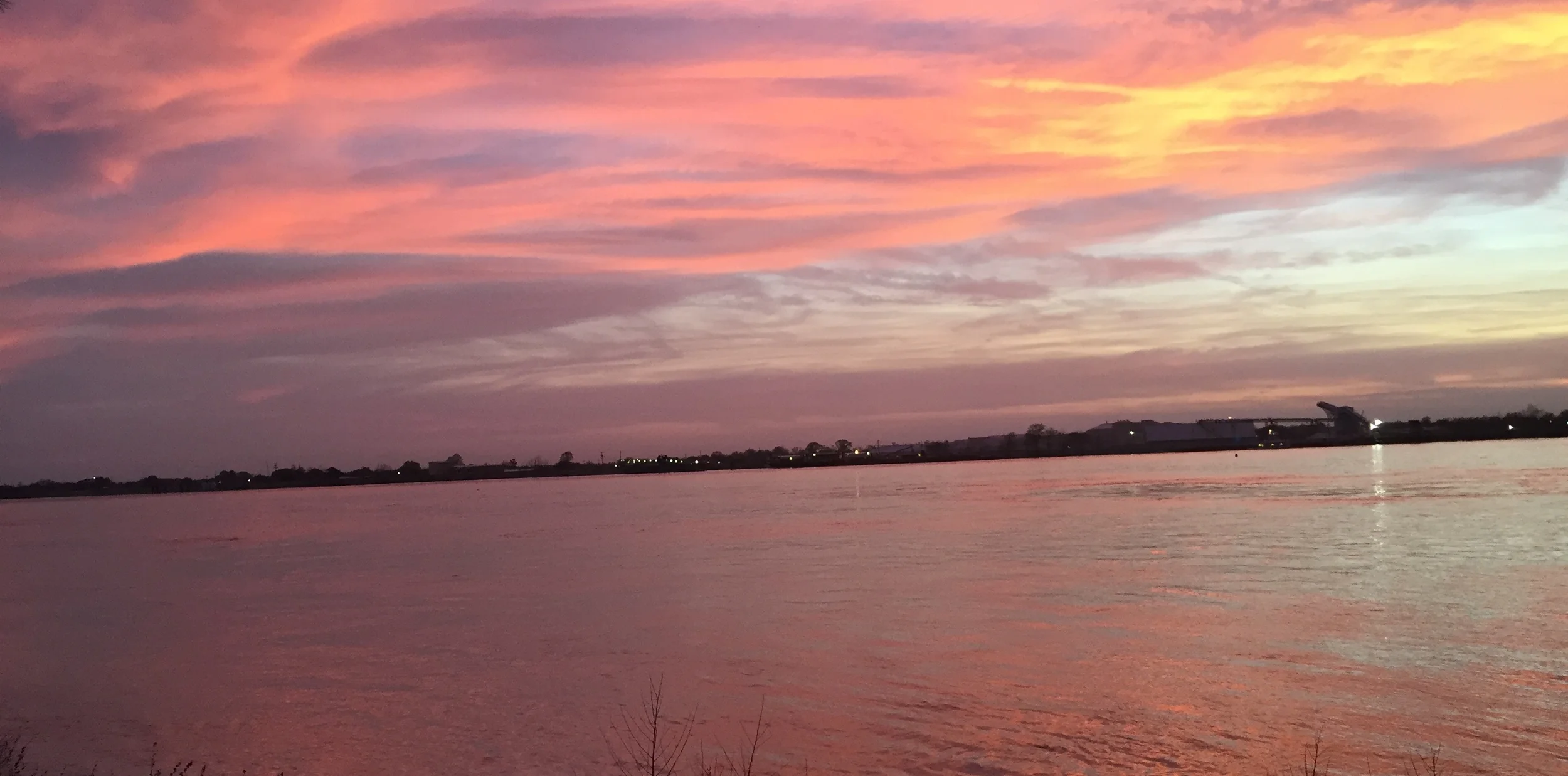 Sunsets on the Fly, Audubon Park, New Orleans