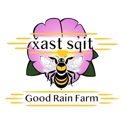 xast+sqit+on+top+GRF+logo+Clear+Background+(2).png