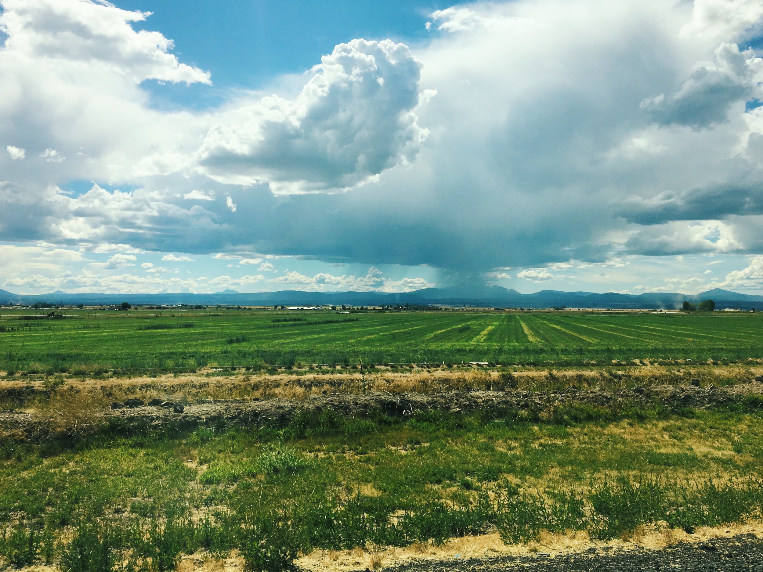 JPEG image-819F8C47847B-26.jpeg