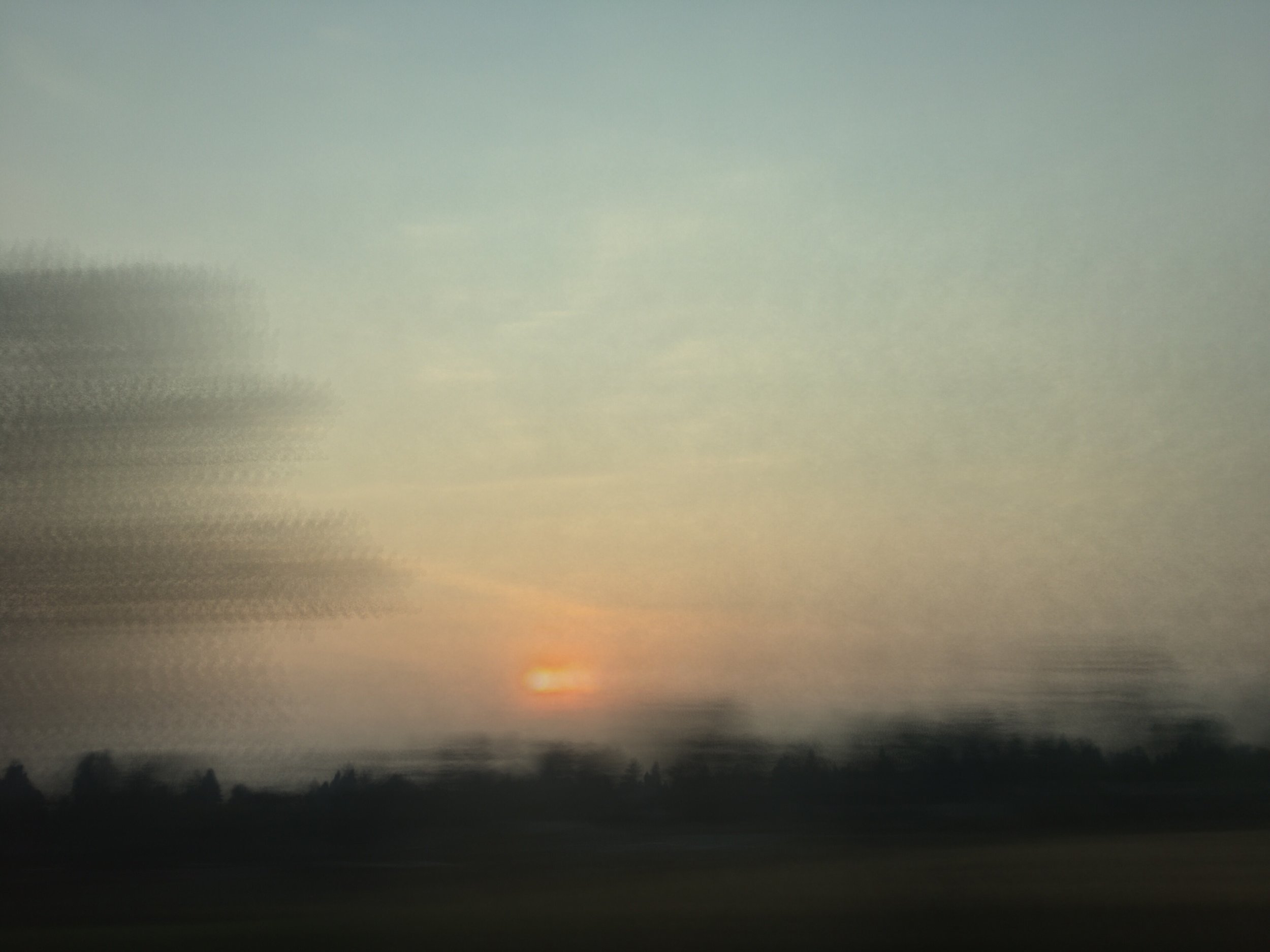 JPEG image-547C0BBC8B2D-24.jpeg