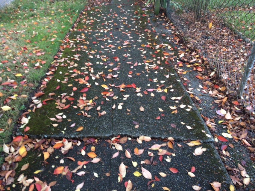 JPEG image-547C0BBC8B2D-16.jpeg
