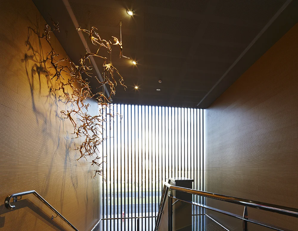 BRECSAD_DMB_3044.jpg