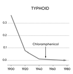 Typhoid.png