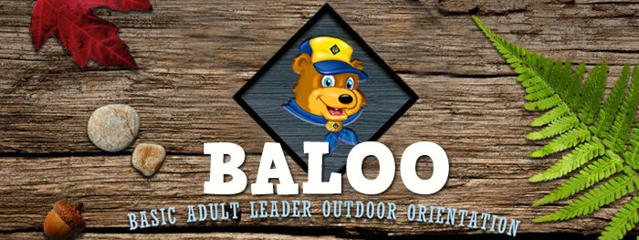 2021 Fall Baloo