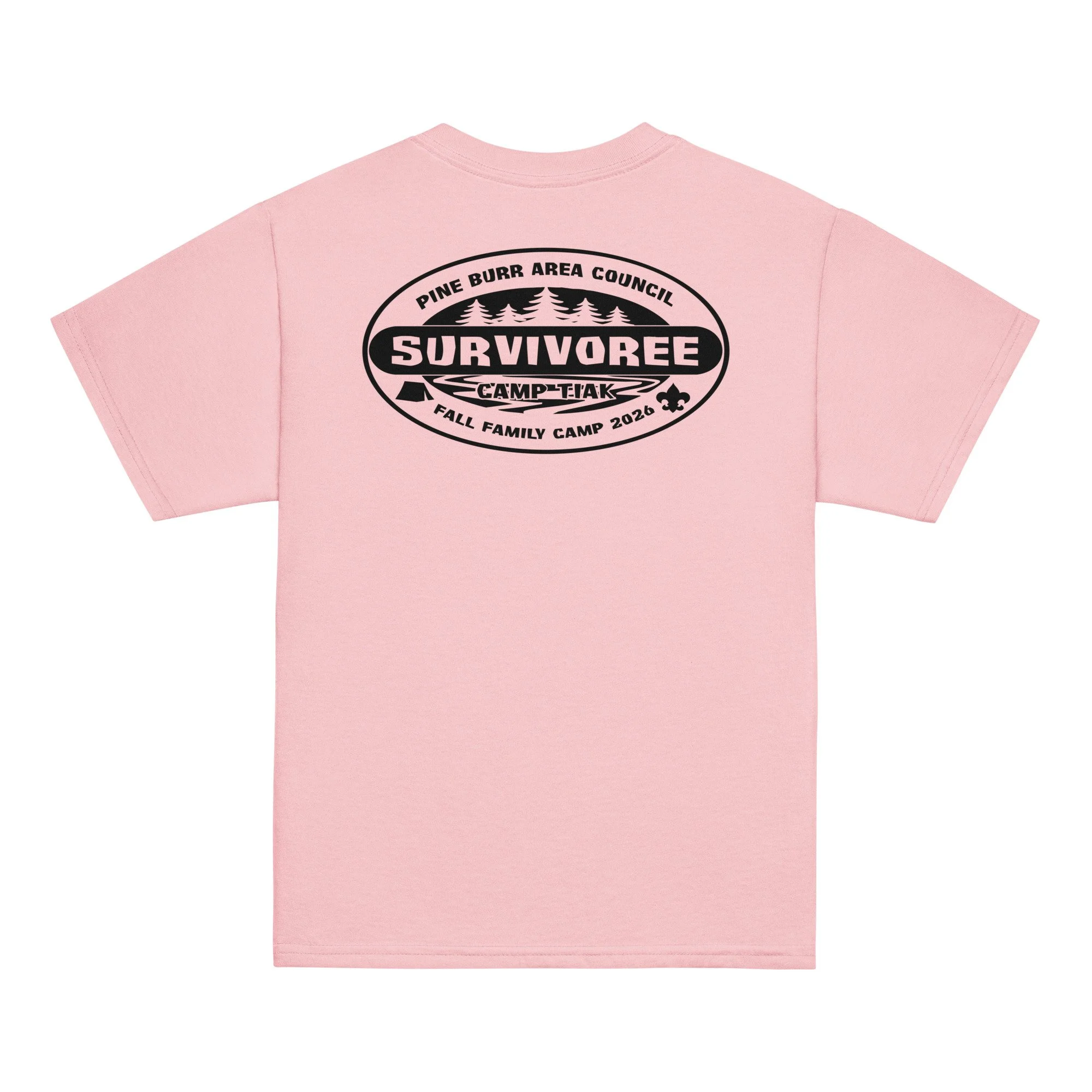 youth-classic-tee-light-pink-back-69ebd10521d54.jpg