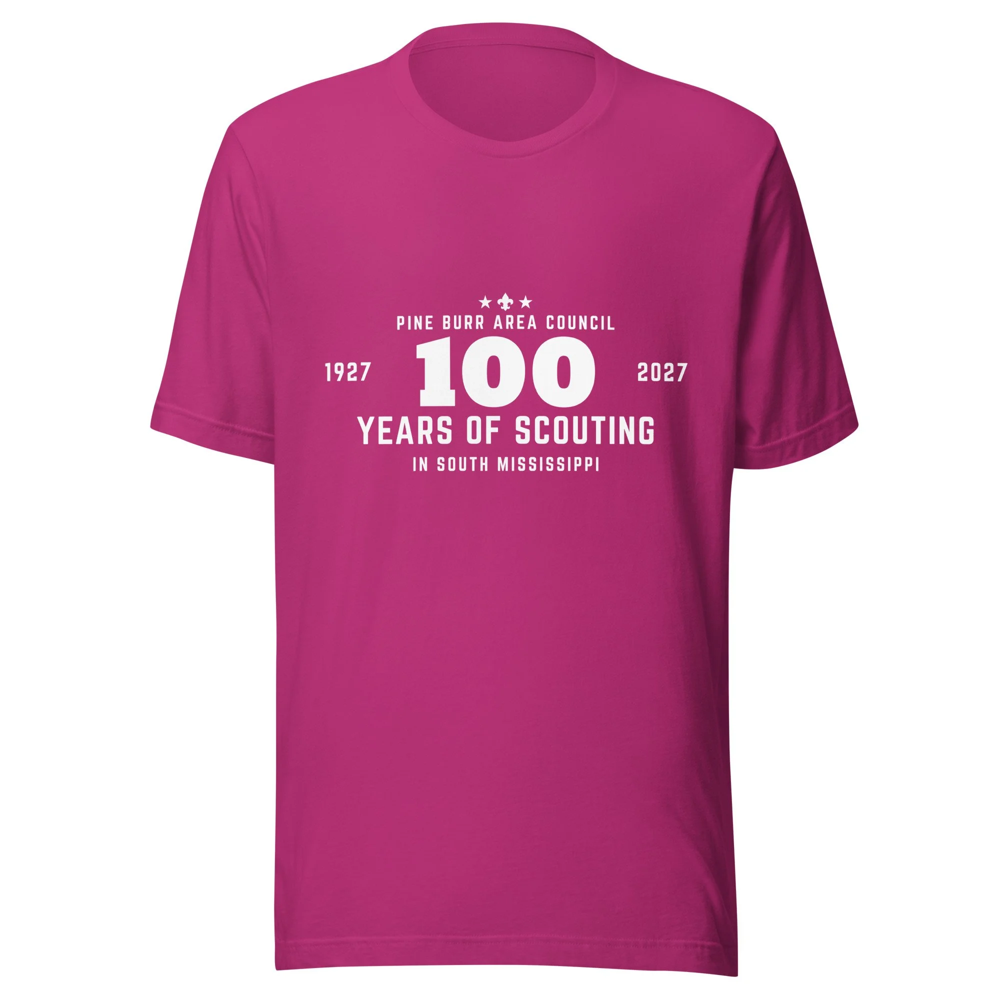 unisex-staple-t-shirt-berry-front-6a6ca59b93f92.jpg