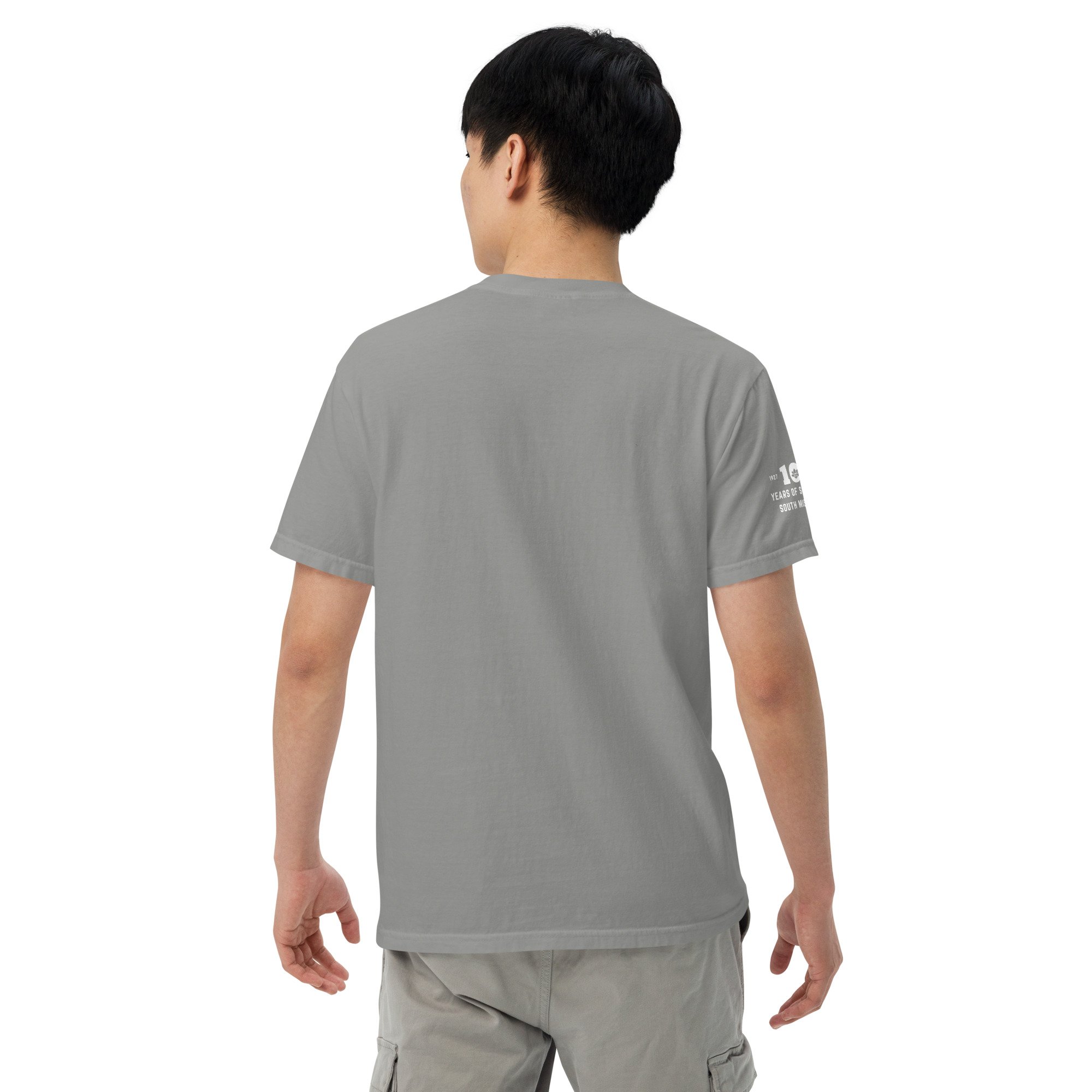 unisex-garment-dyed-heavyweight-t-shirt-grey-back-6a6d042dbb903.jpg